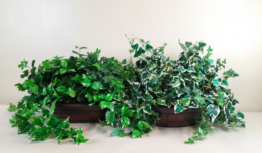 2 Large Potted Artificial Ivy Plants (1 of 2)