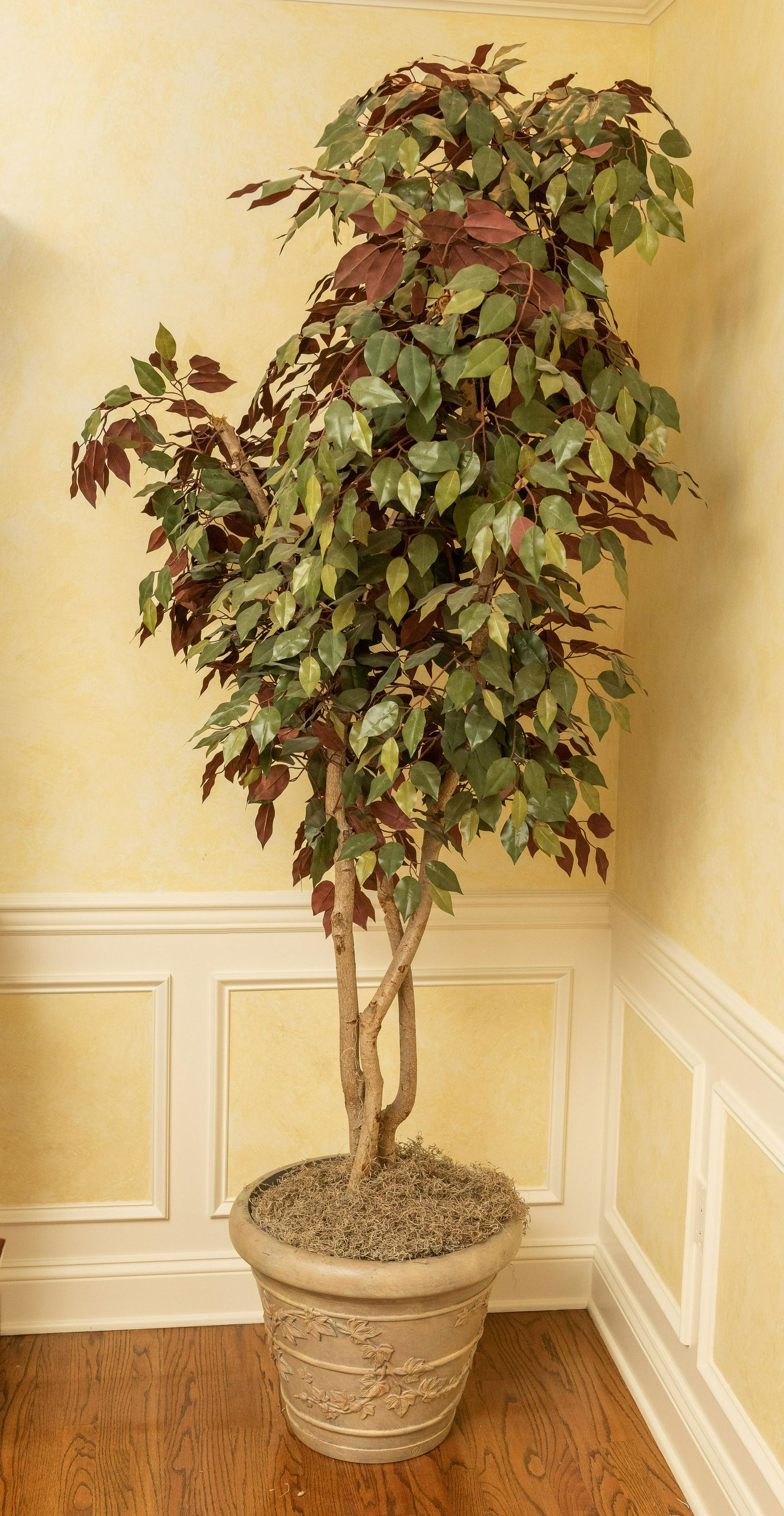 Artificial Ficus in Pot (1 of 2)