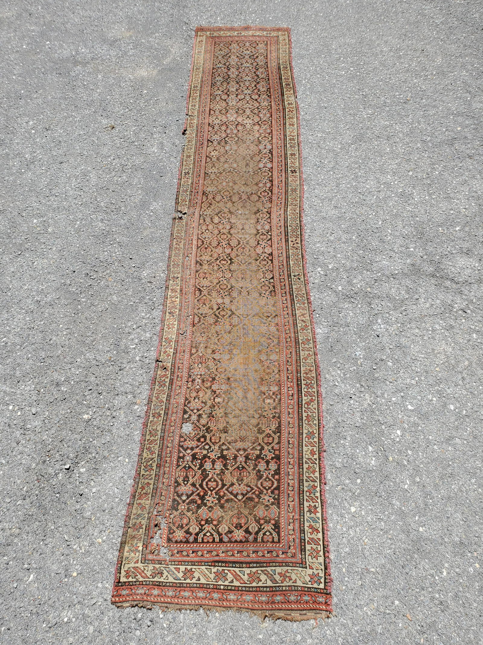 Persian Kurdistan Runner (1 of 5)