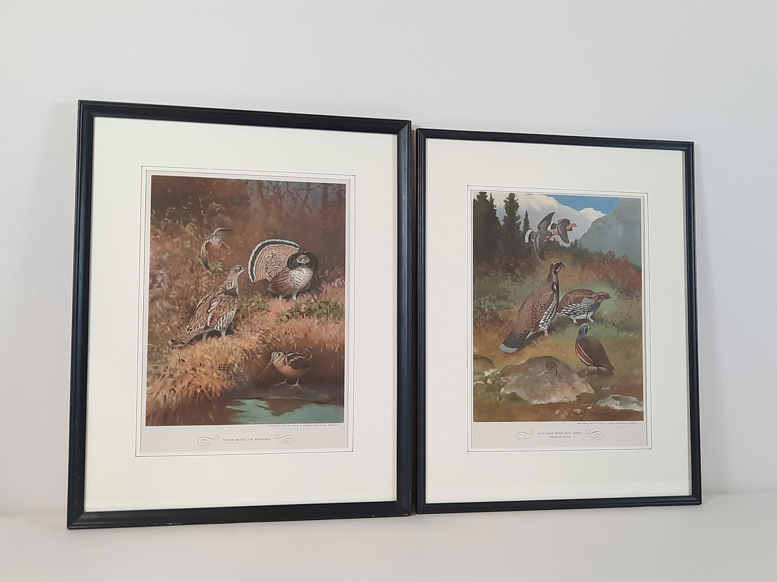 2 1944 Field and Stream Game Birds Prints (1 of 3)