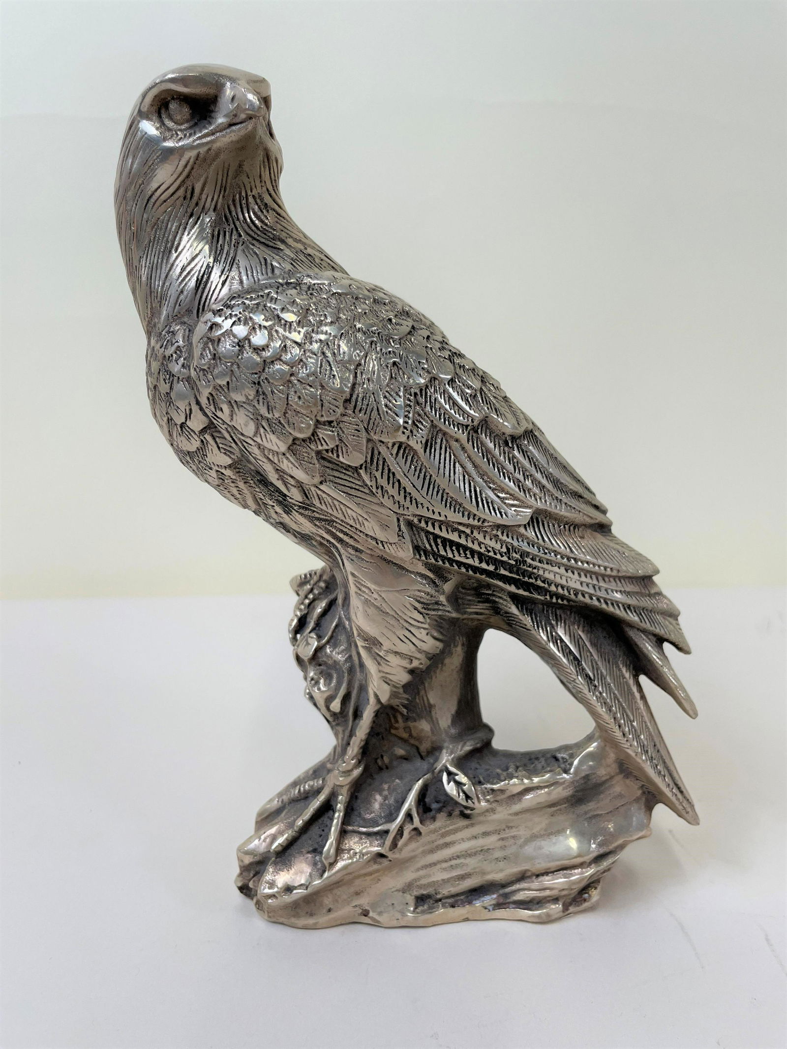 Tibetan Silver Hawk (1 of 5)