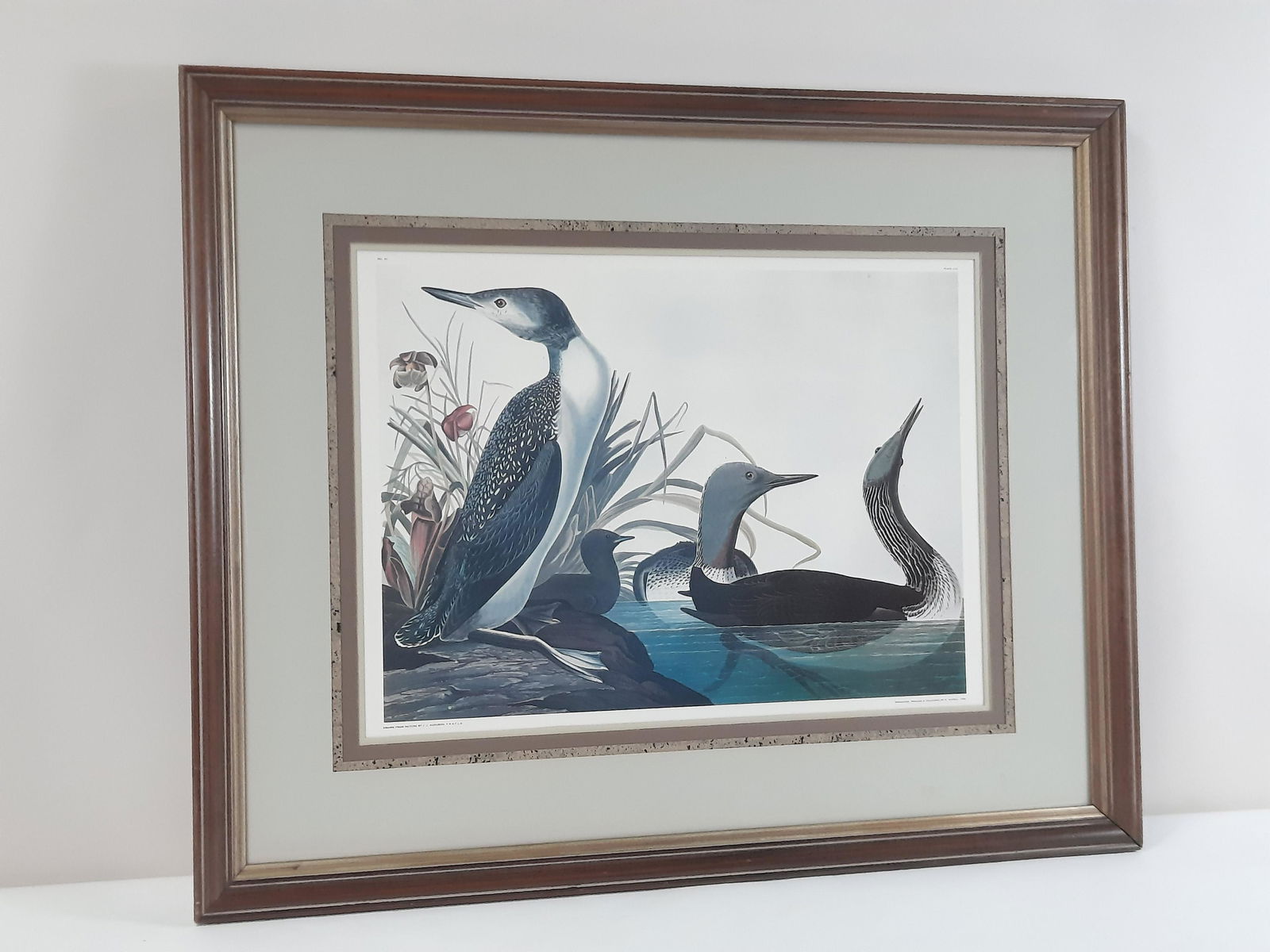John James Audubon No. 41 Print (1 of 6)
