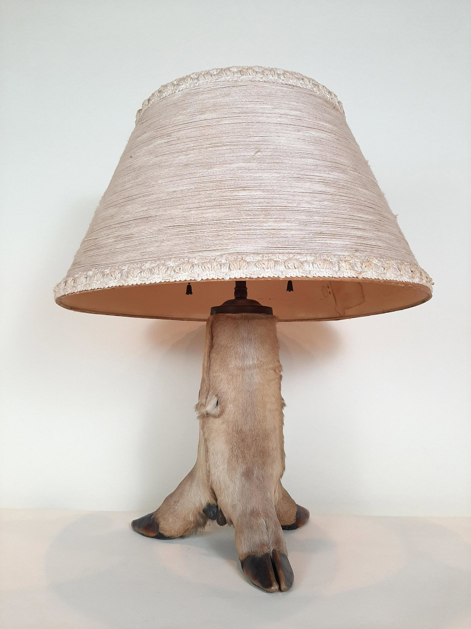 Antique Taxidermy Deer Hoof: 21" high. Shade: 16-1/2" diameter. IMPORTANT: Before bidding, please read the terms and conditions. When you registered for the auction you agreed to these terms and will be required to comply with th