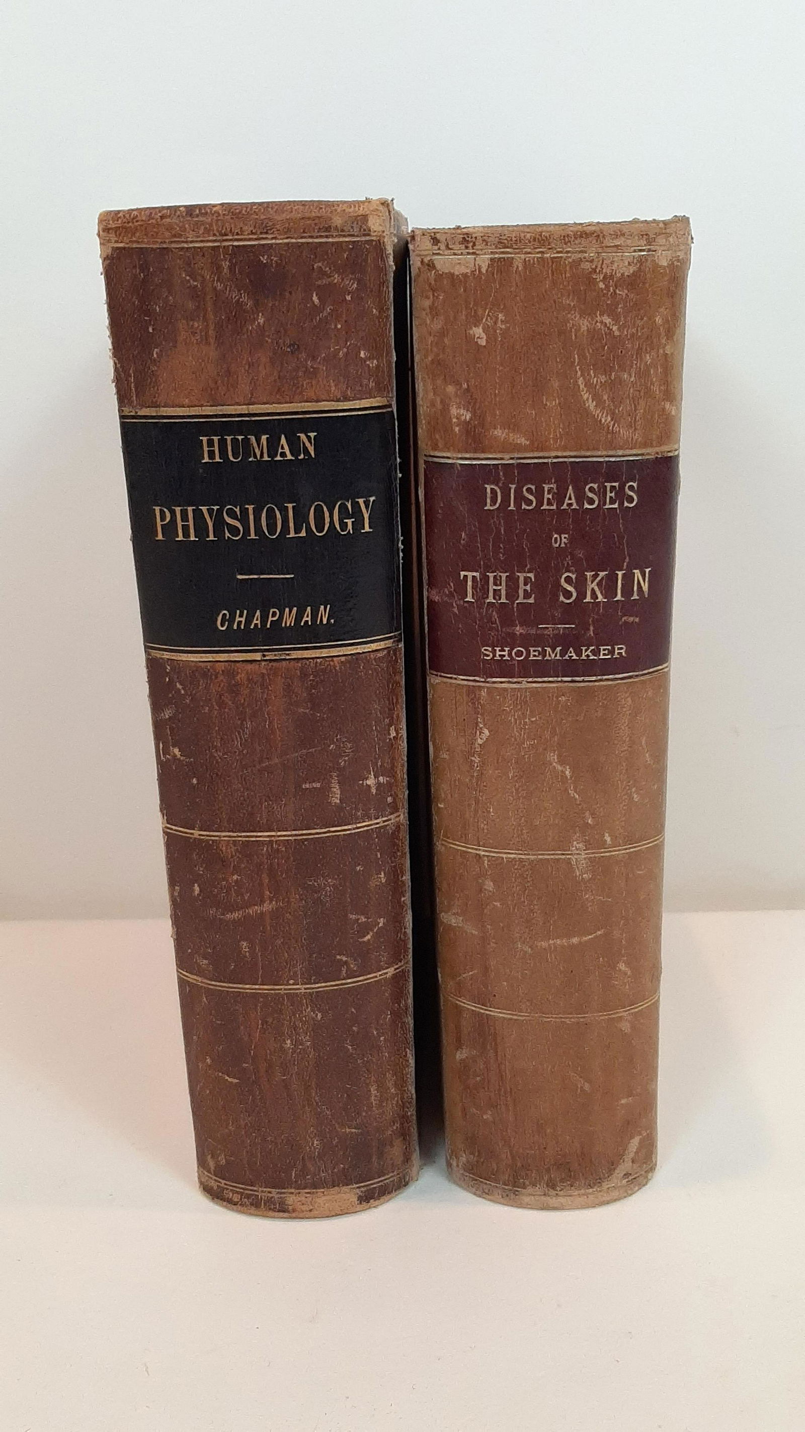 2 19th C. Medical Textbooks (1 of 18)