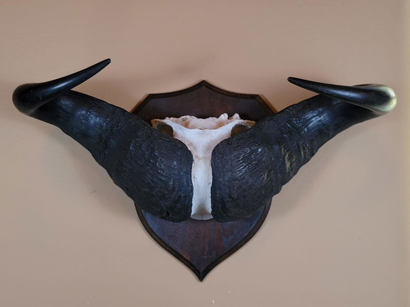 Southern Buffalo Mount (1 of 2)