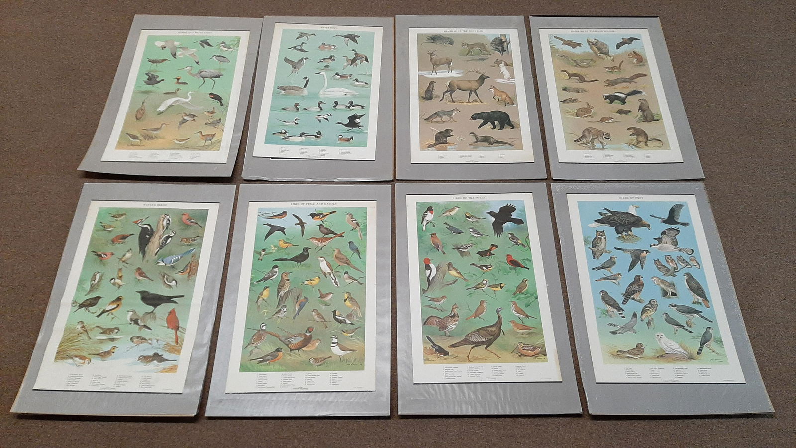 8 Ned Smith Wildlife Posters (1 of 8)