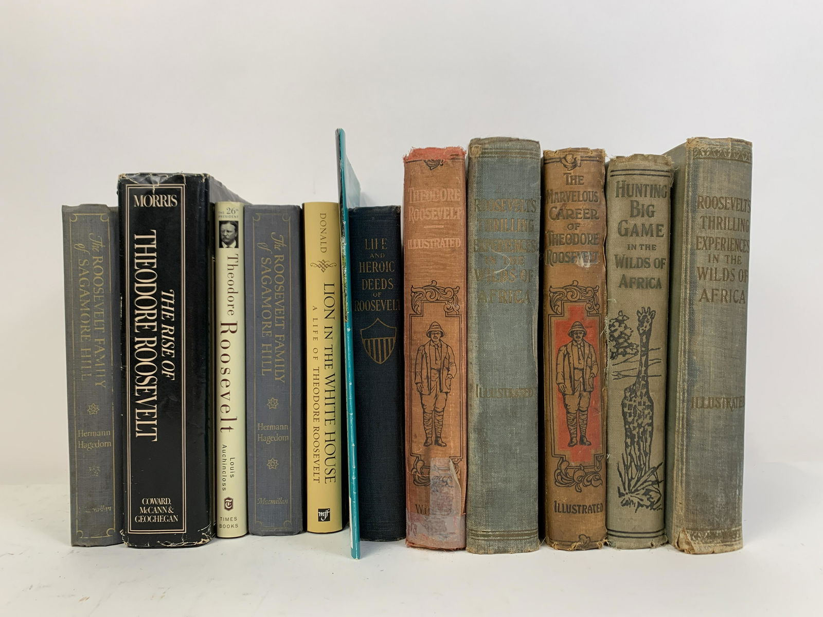 12 Books on Theodore Roosevelt (1 of 12)