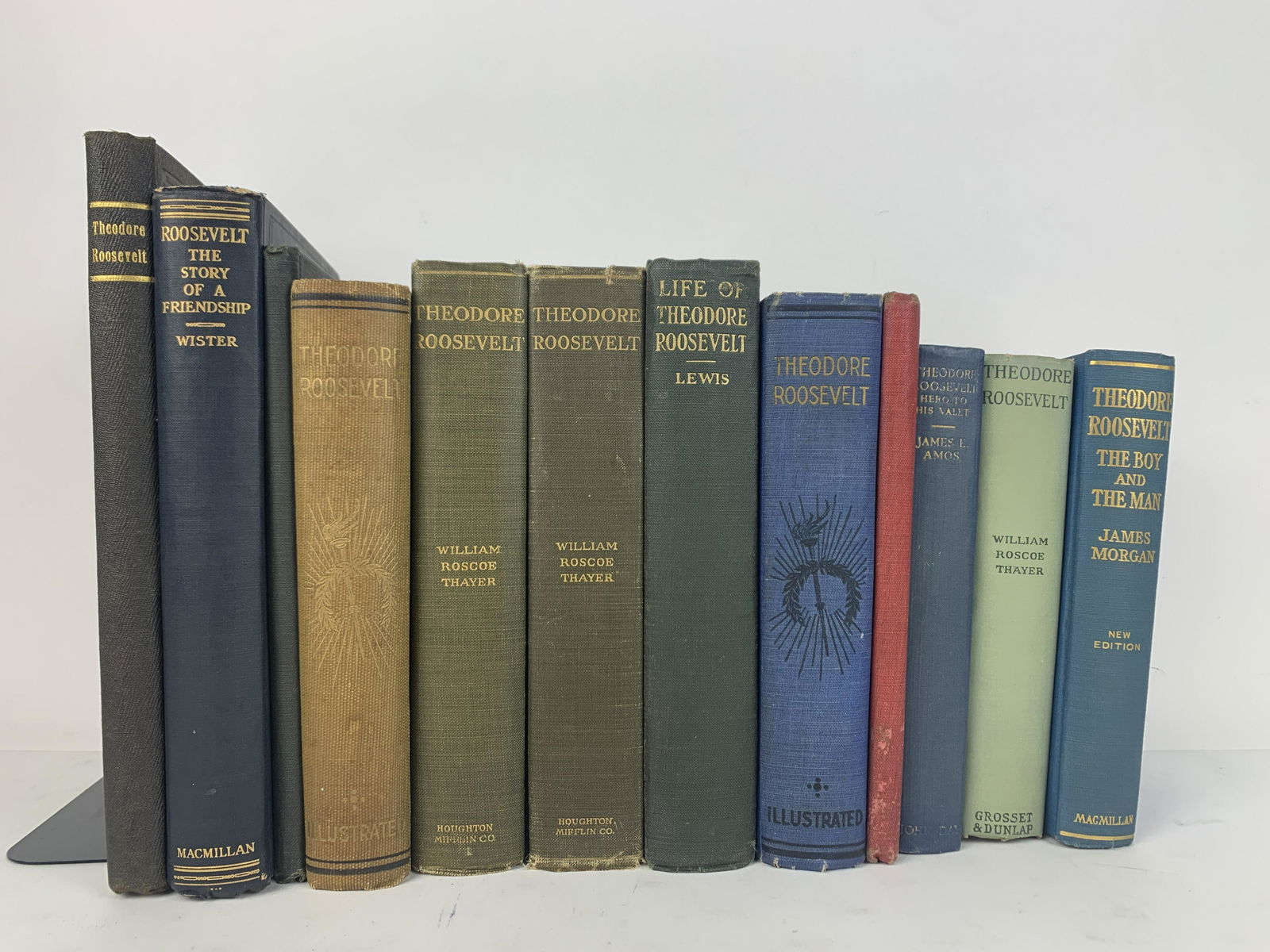 11 Books on Theodore Roosevelt (1 of 14)