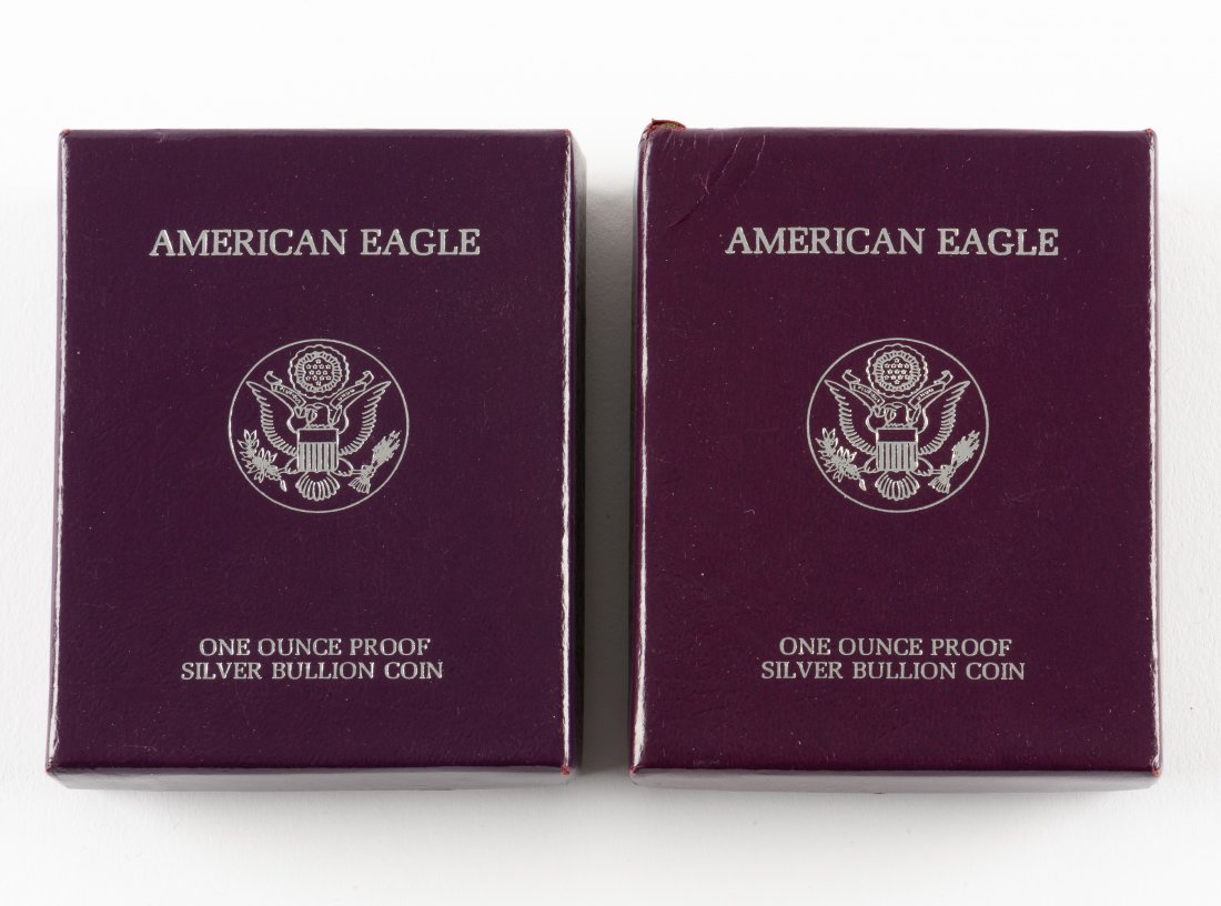 2 1989 U.S. Proof American Silver Eagles (1 of 2)