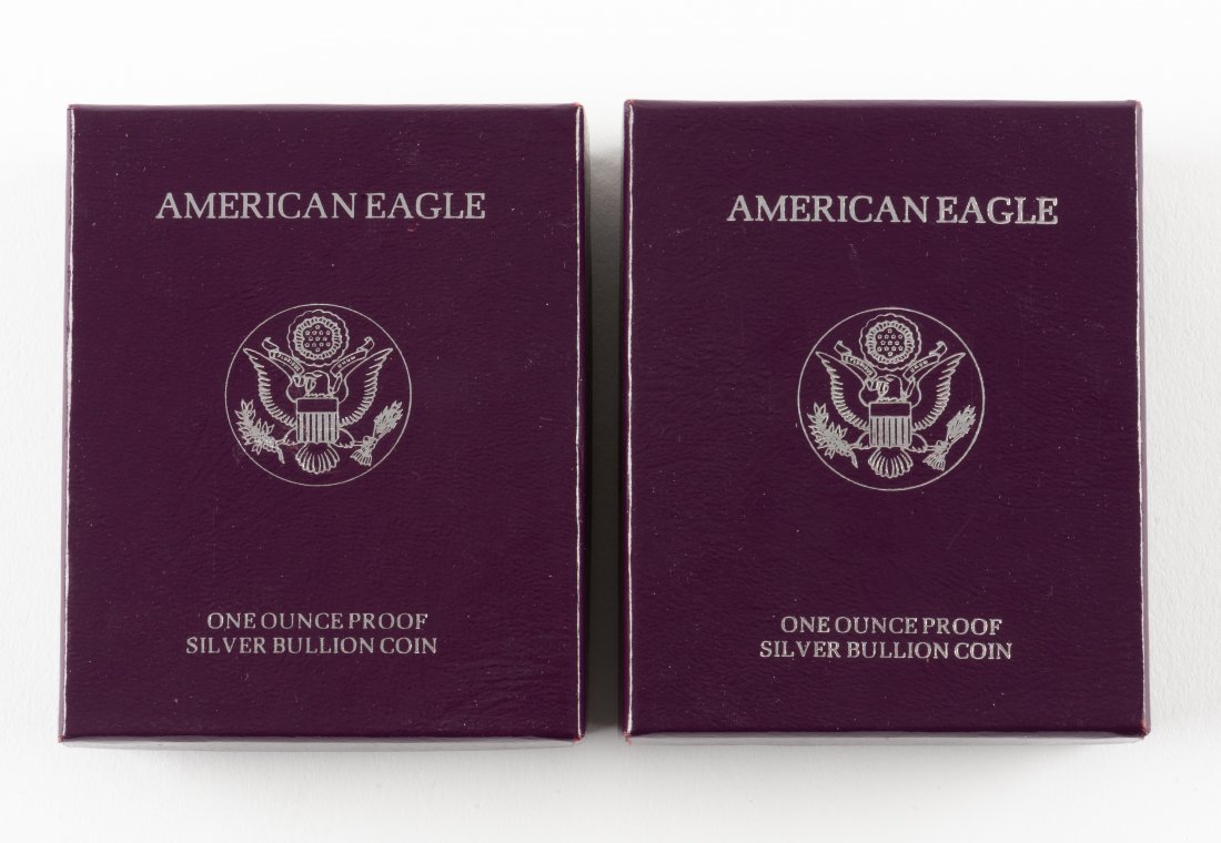 2 1990 U.S. Proof American Silver Eagles (1 of 2)