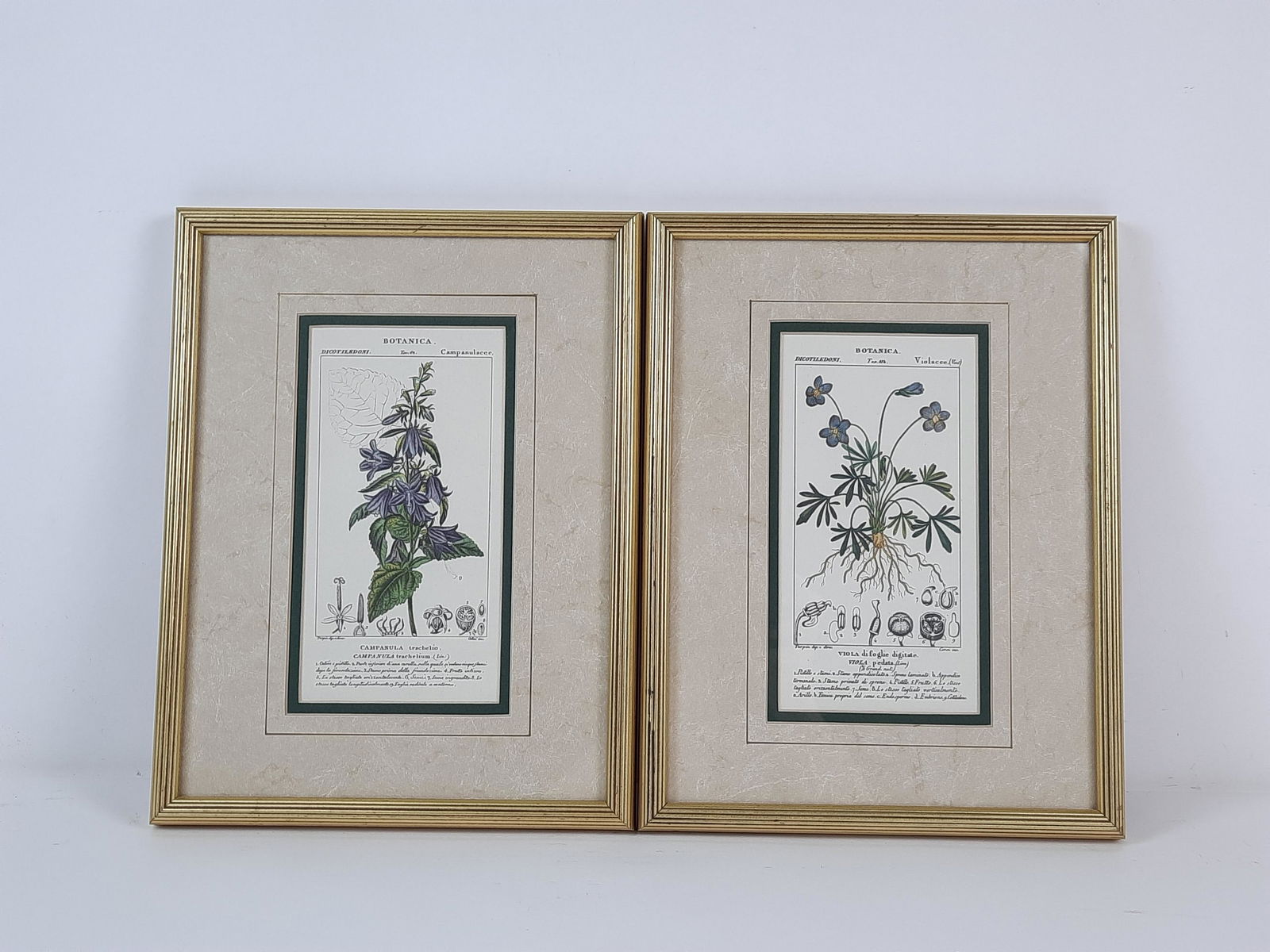 Pr Botanical Prints (1 of 4)