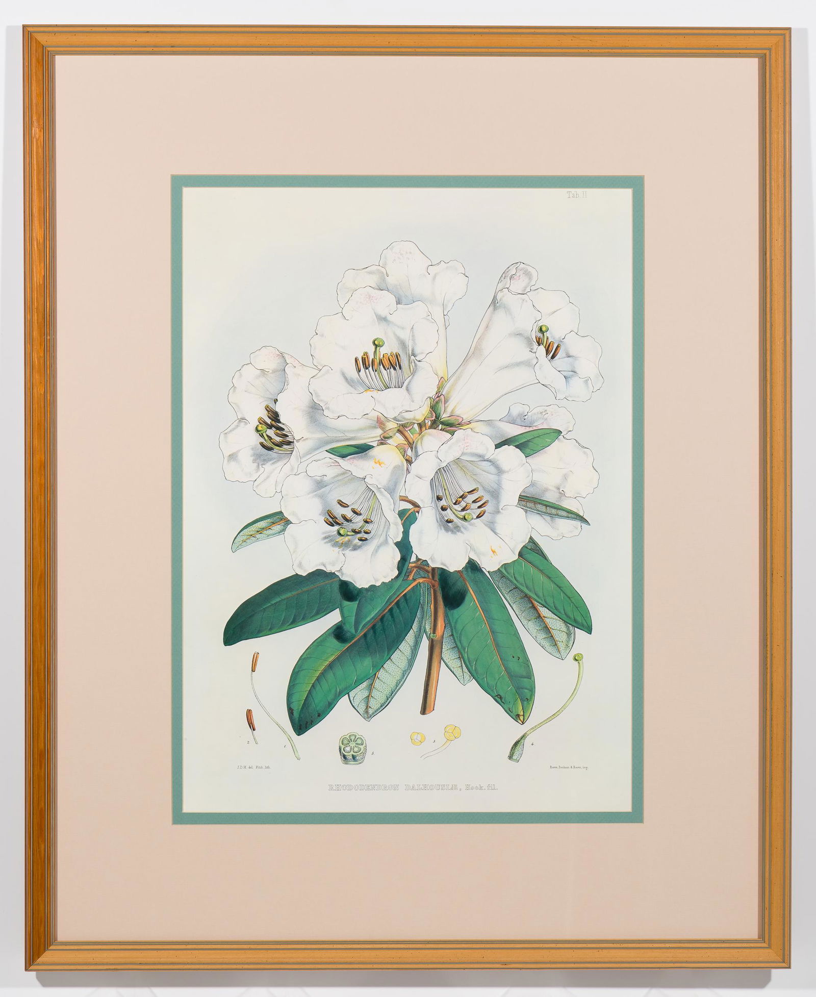 Walter Fitch, Reeve Benham & Reeve Print (1 of 4)