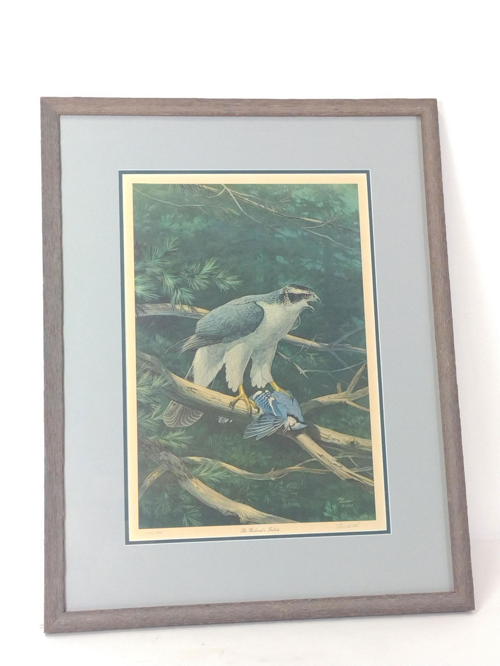 Ned Smith "The Goshawk's Tribute" Ltd Print (1 of 6)
