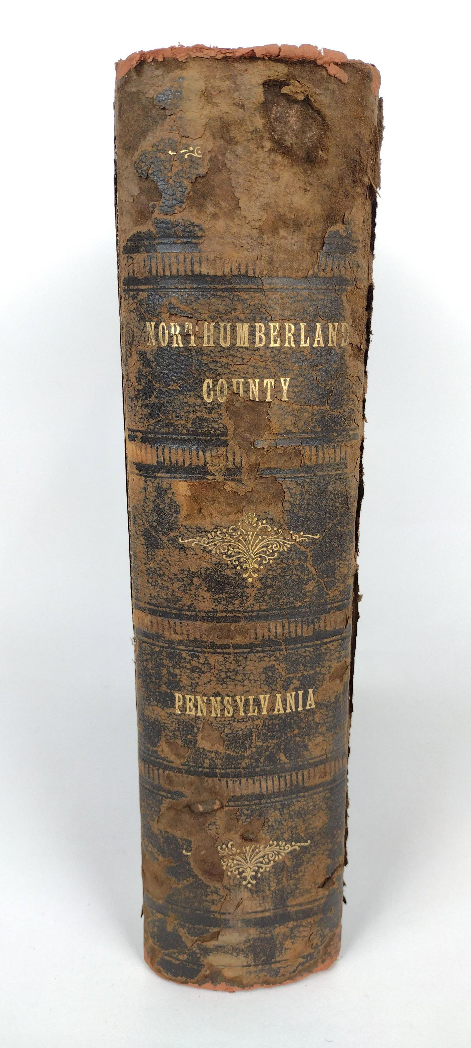 1911 History of Northumberland County, PA: Published in Chicago by J.L. Floyd & Co. Some wear to spine. DM IMPORTANT: Before bidding, please read the terms and conditions. When you registered for the auction you agreed to these terms and will 