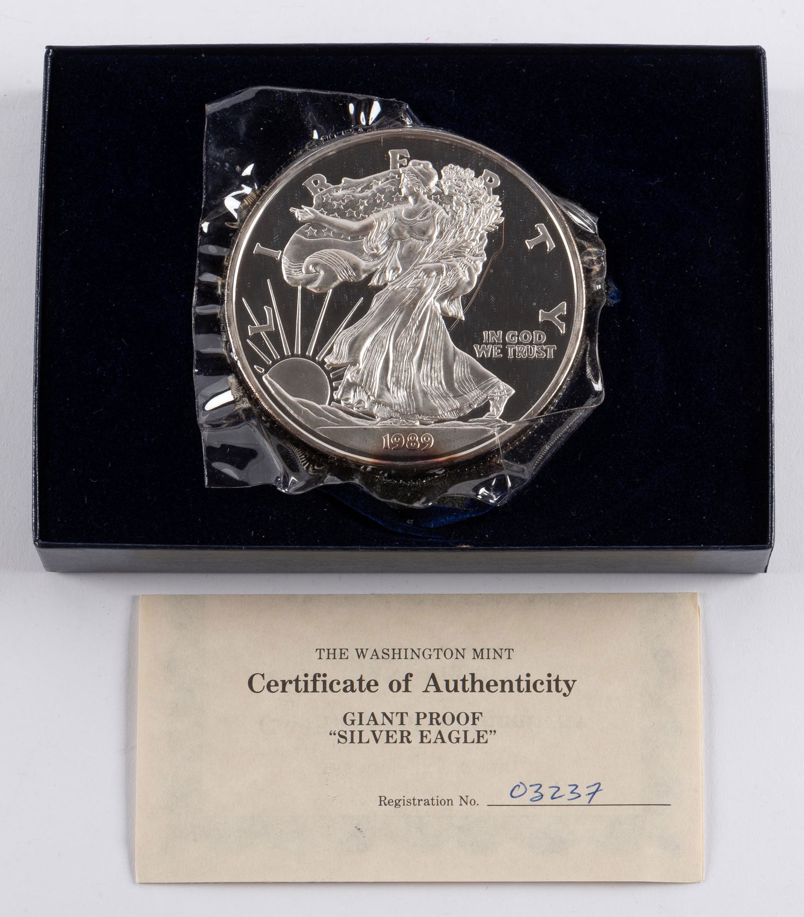 1989 Washington Mint Giant Proof Silver Eagles (1 of 3)