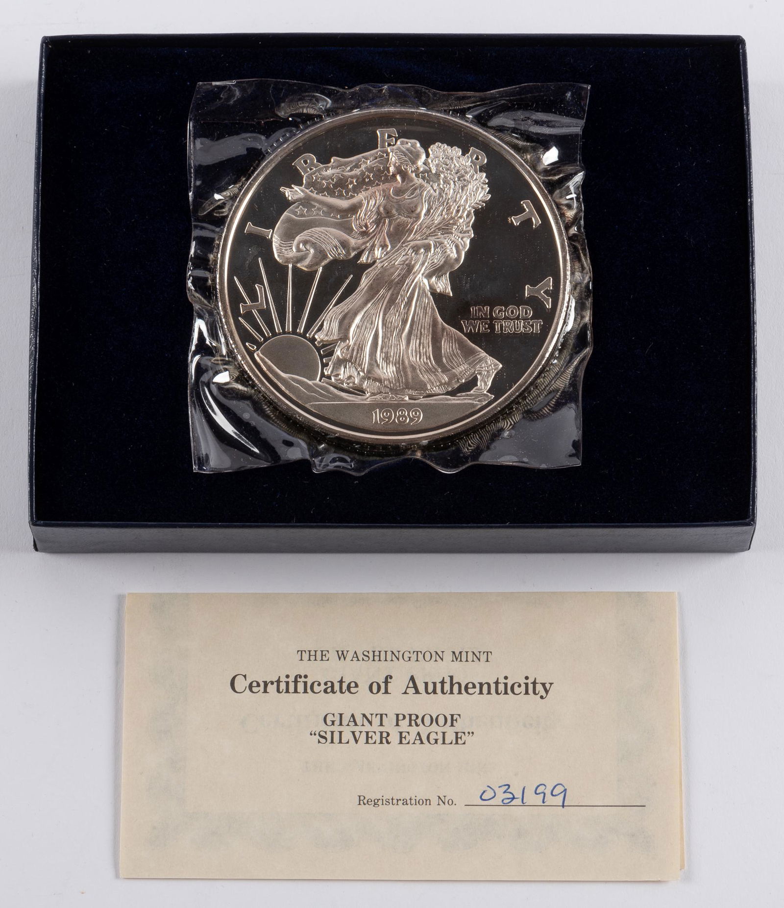 1989 Washington Mint Giant Proof Silver Eagles (1 of 3)