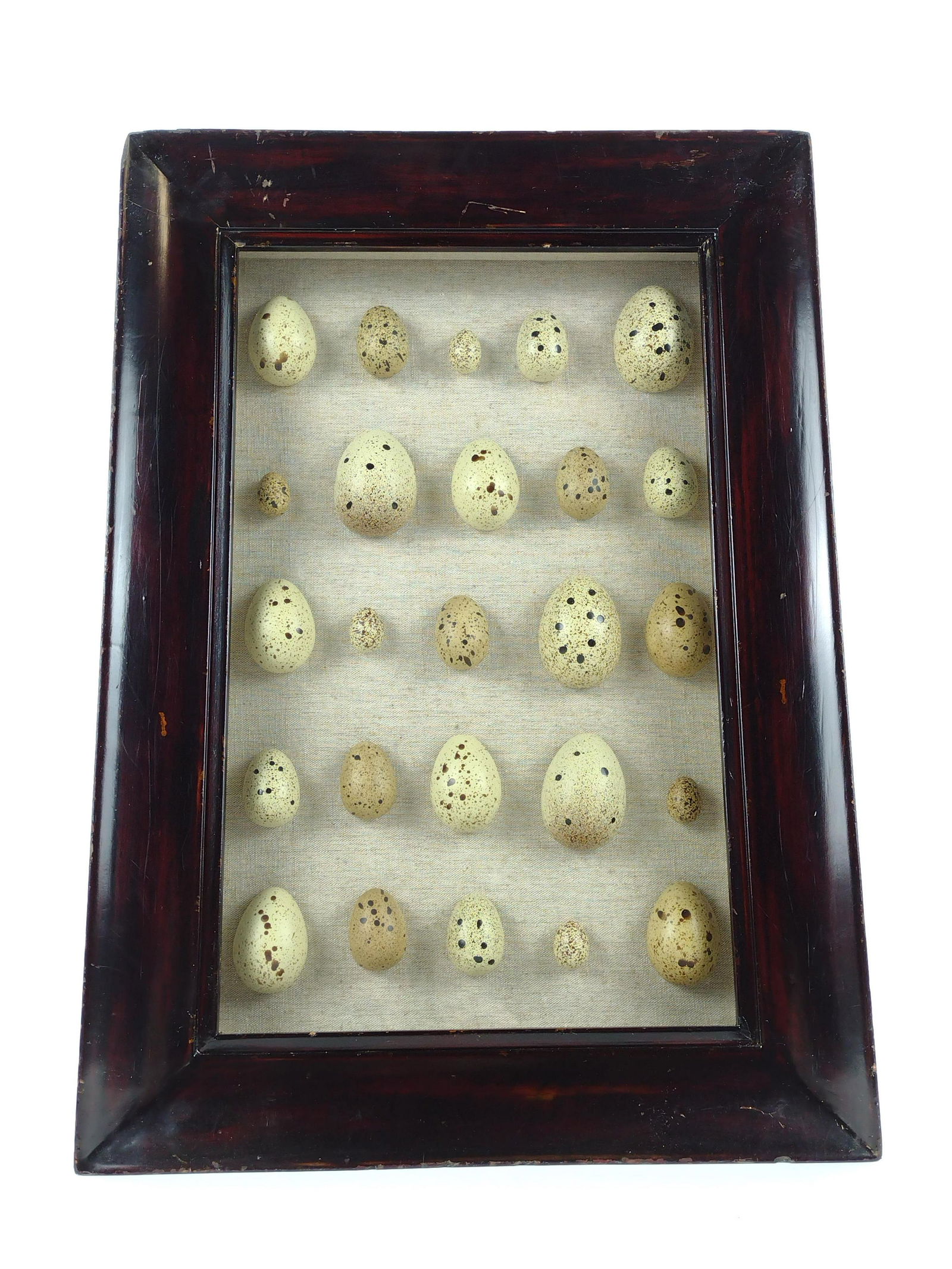 Decorative Egg Display in Shadow Box (1 of 3)