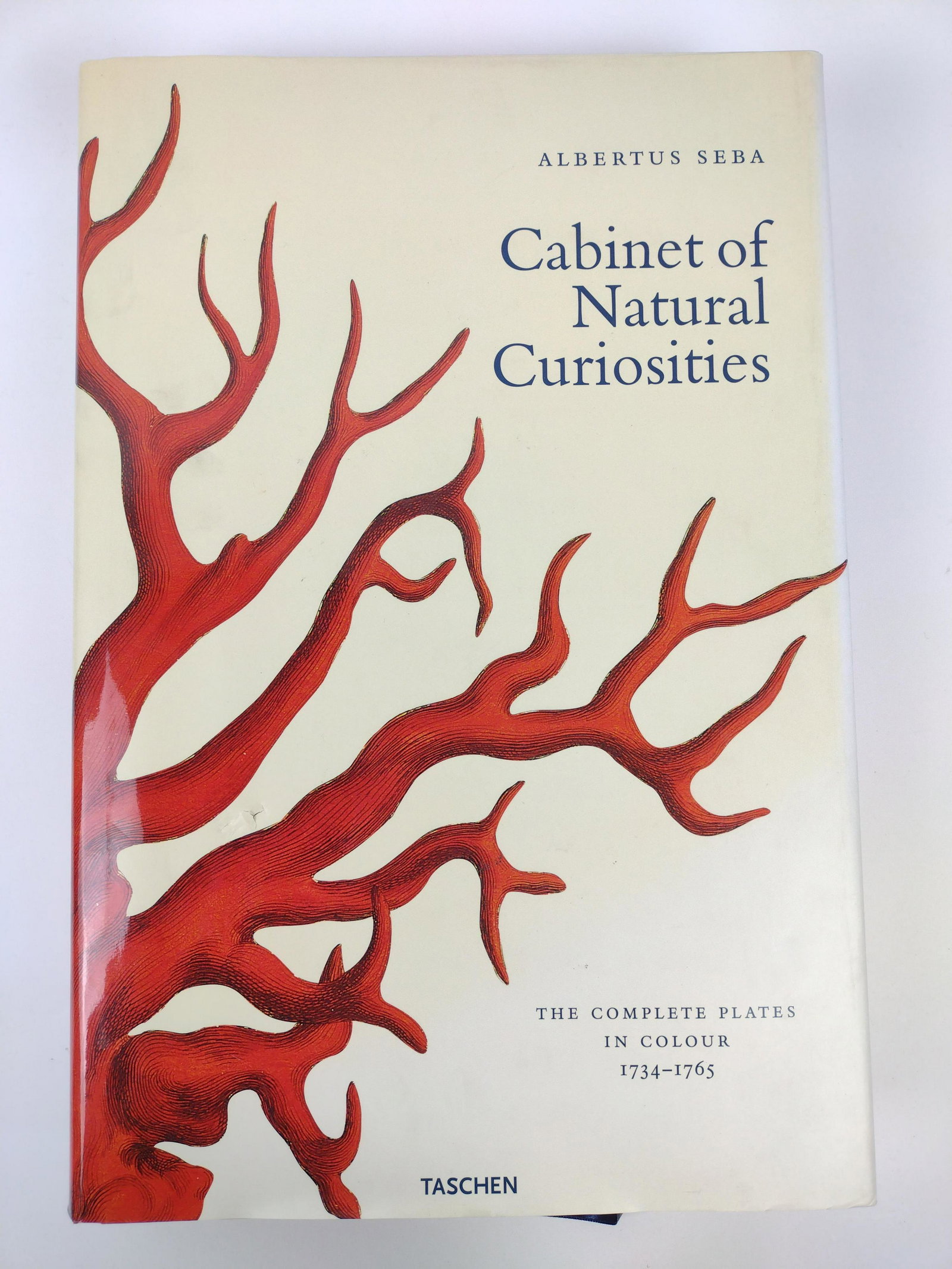 Cabinet of Natural Curiosities Large Coffee Table Book (1 of 20)