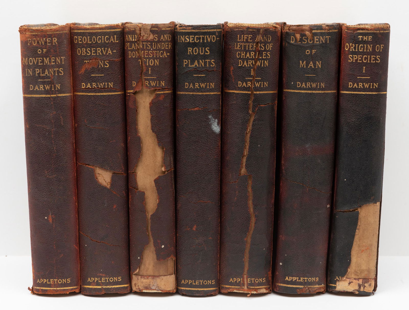 7 Appletons Books by Darwin (1 of 14)