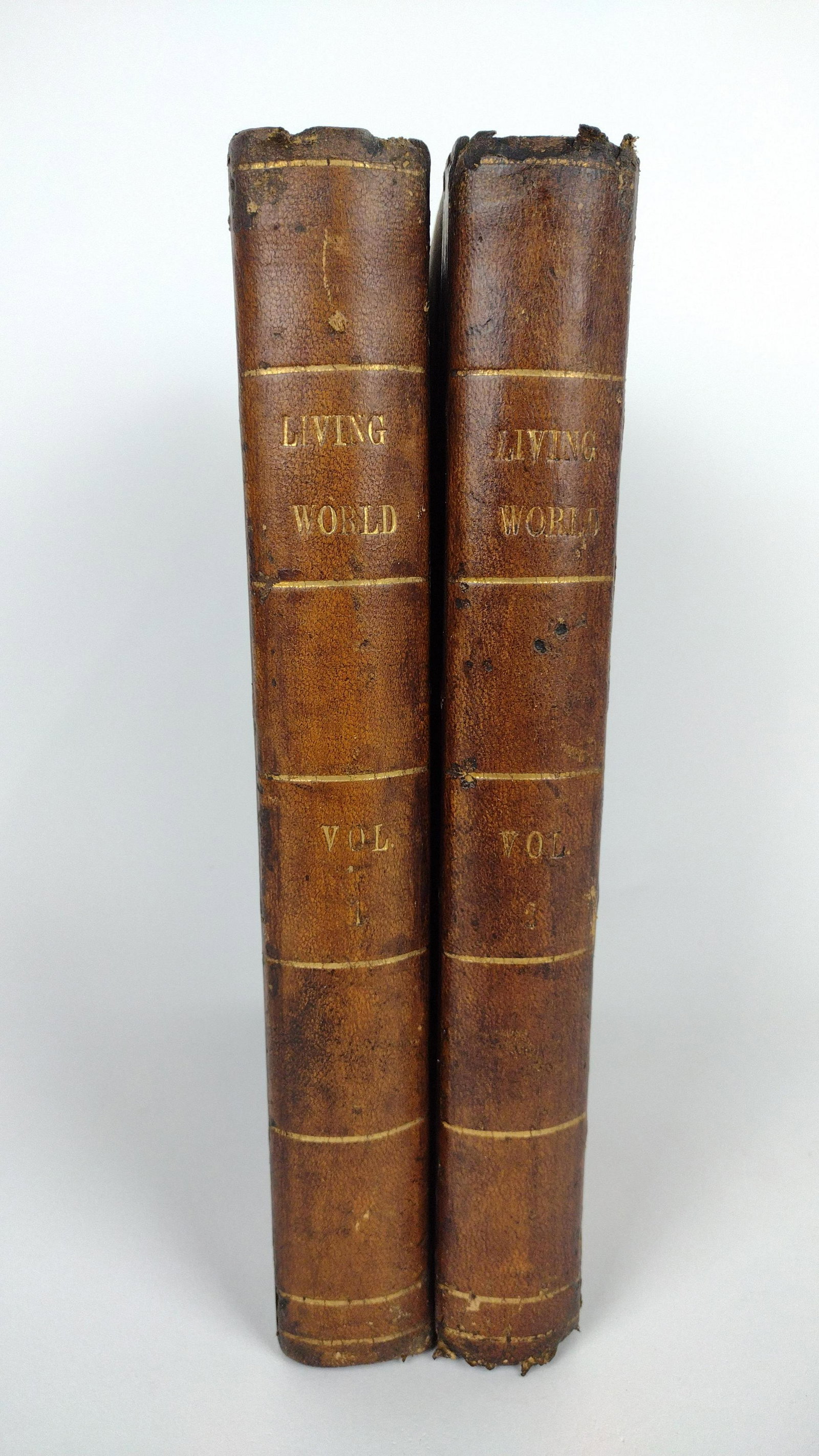 2 Vols The Living World with Illustrations: Written by Augustus Arnold. Published 1871 in Boston by Samuel Walker. Some leather wear to spines. DM IMPORTANT: Before bidding, please read the terms and conditions. When you registered for the auct