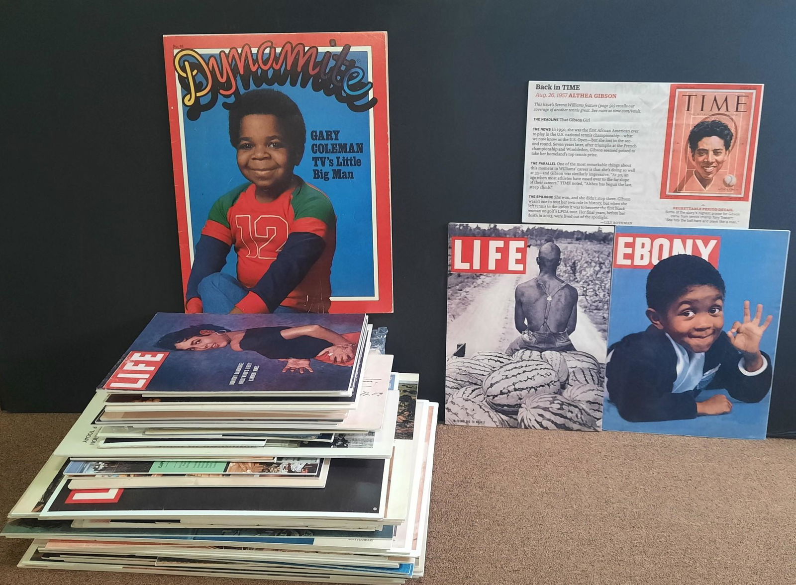 78 Black History and TV Personality Posters on Foam (1 of 5)