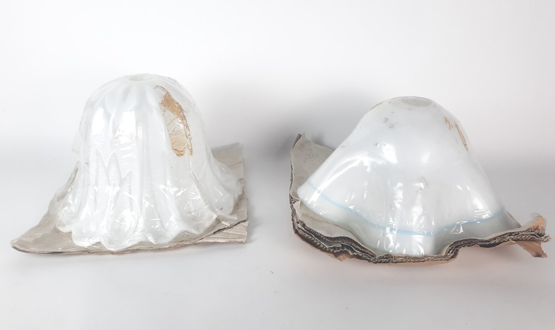 2 Vetri Murano Glass Lamp Shades incl Tulip (1 of 5)