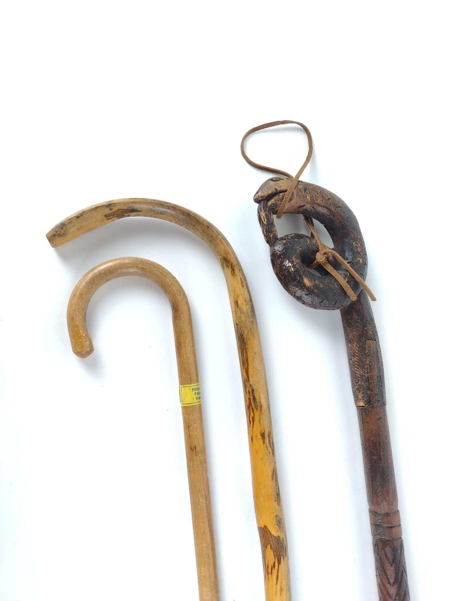 2 Walking Sticks and Cane incl Snake (1 of 3)