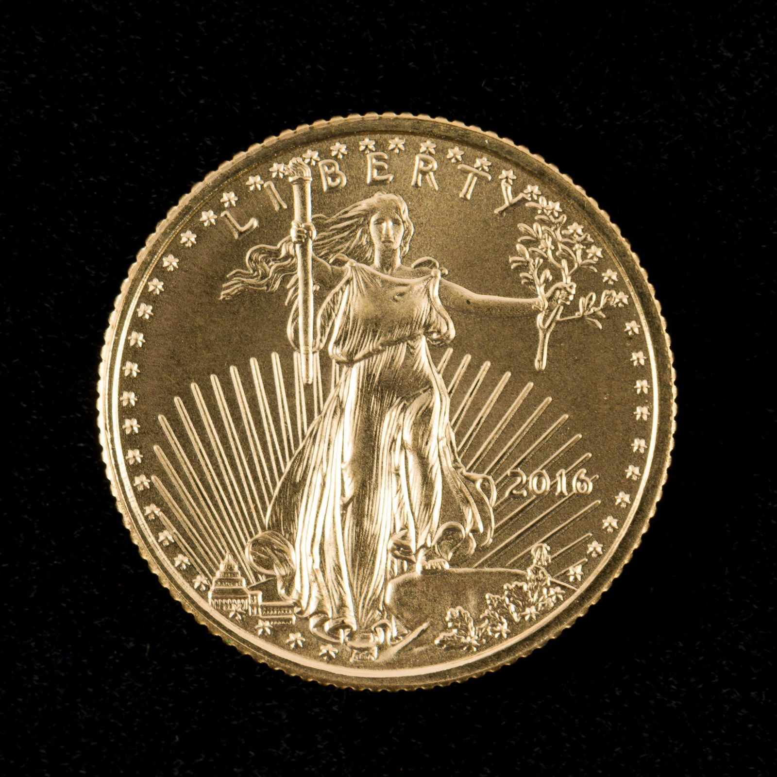 2016 $5.00 Gold American Eagle (1 of 2)