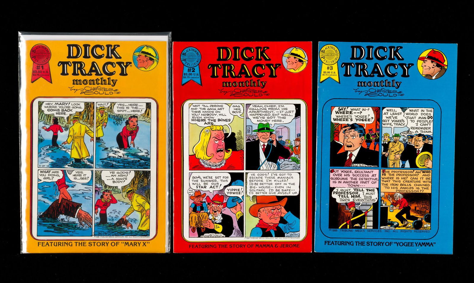 78 Dick Tracy Monthly/Weekly Comics (1 of 4)