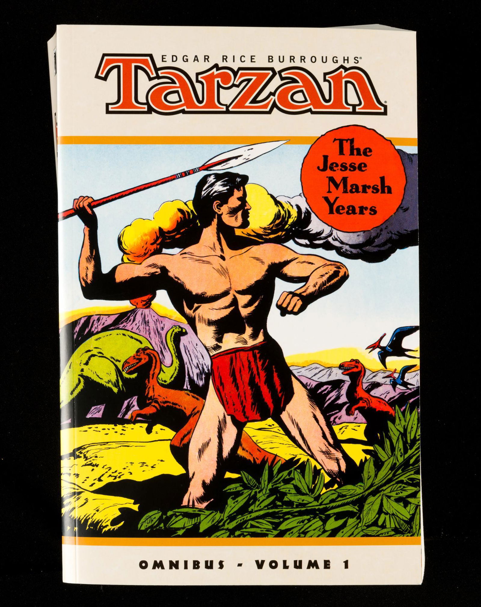 Tarzan Omnibus Vol. 1 (1 of 1)