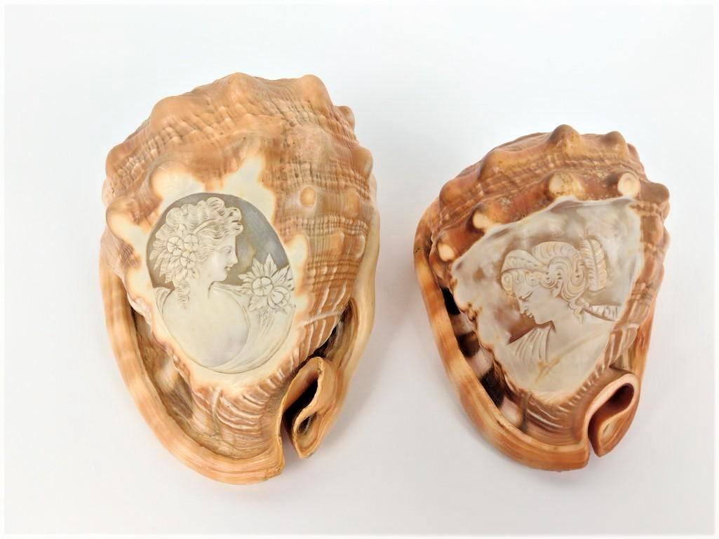 2 Carved Cameo Shells (1 of 4)