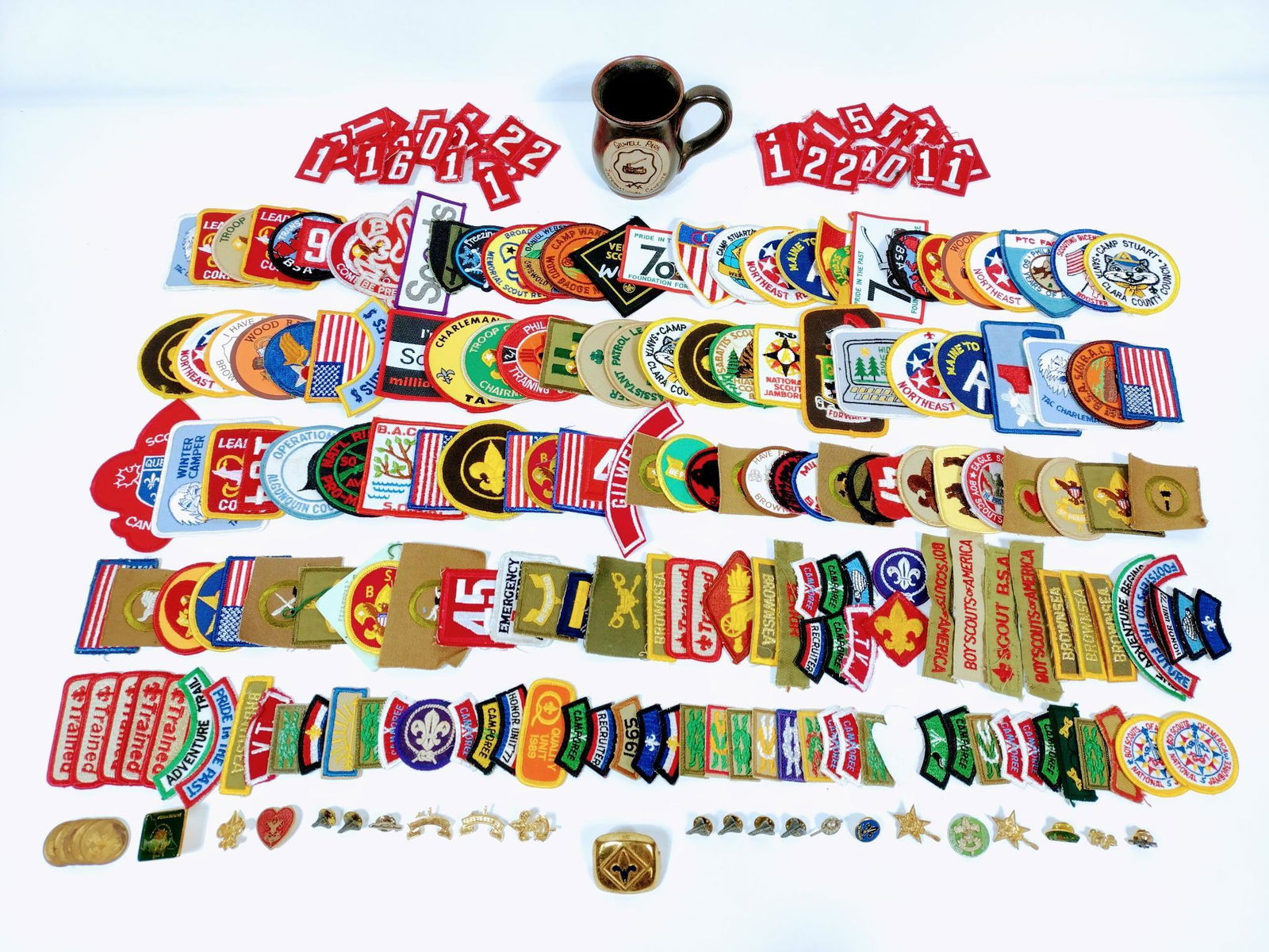 Approximately 250 Boy Scout Patches (1 of 4)