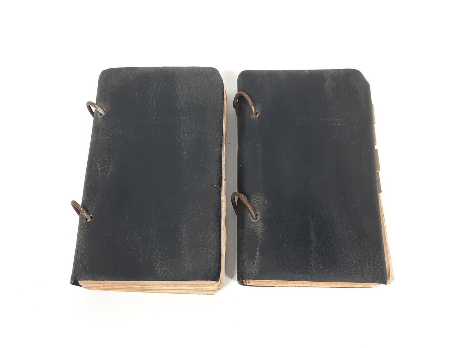 2 Girl Scout Plant and Wildlife Identification Books (1 of 8)