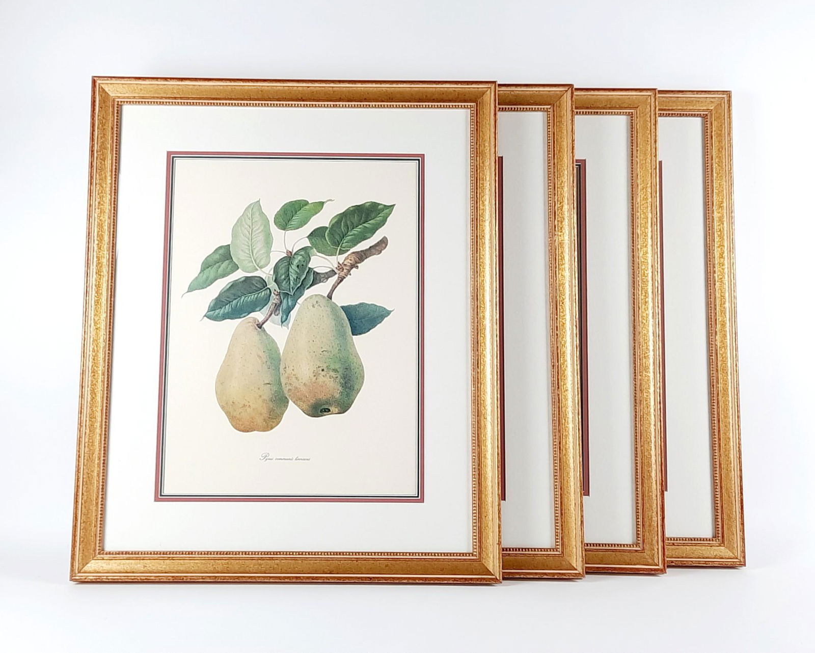 4 Fruit Prints (1 of 5)