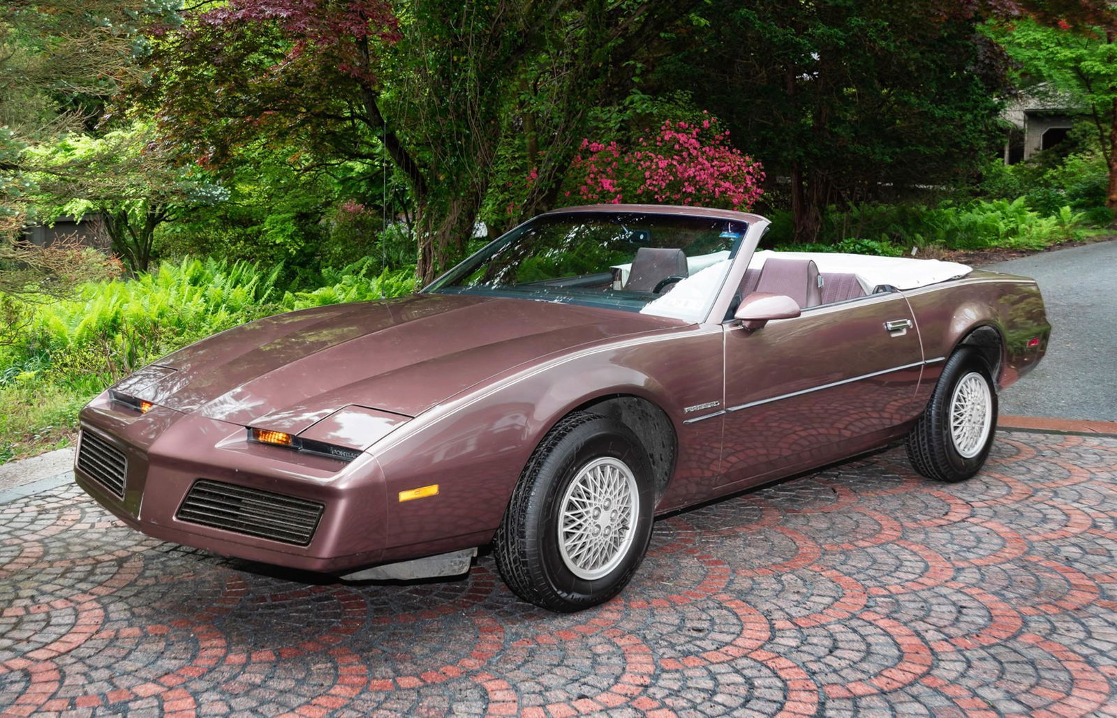 1983 Pontiac Firebird Convertible (1 of 12)