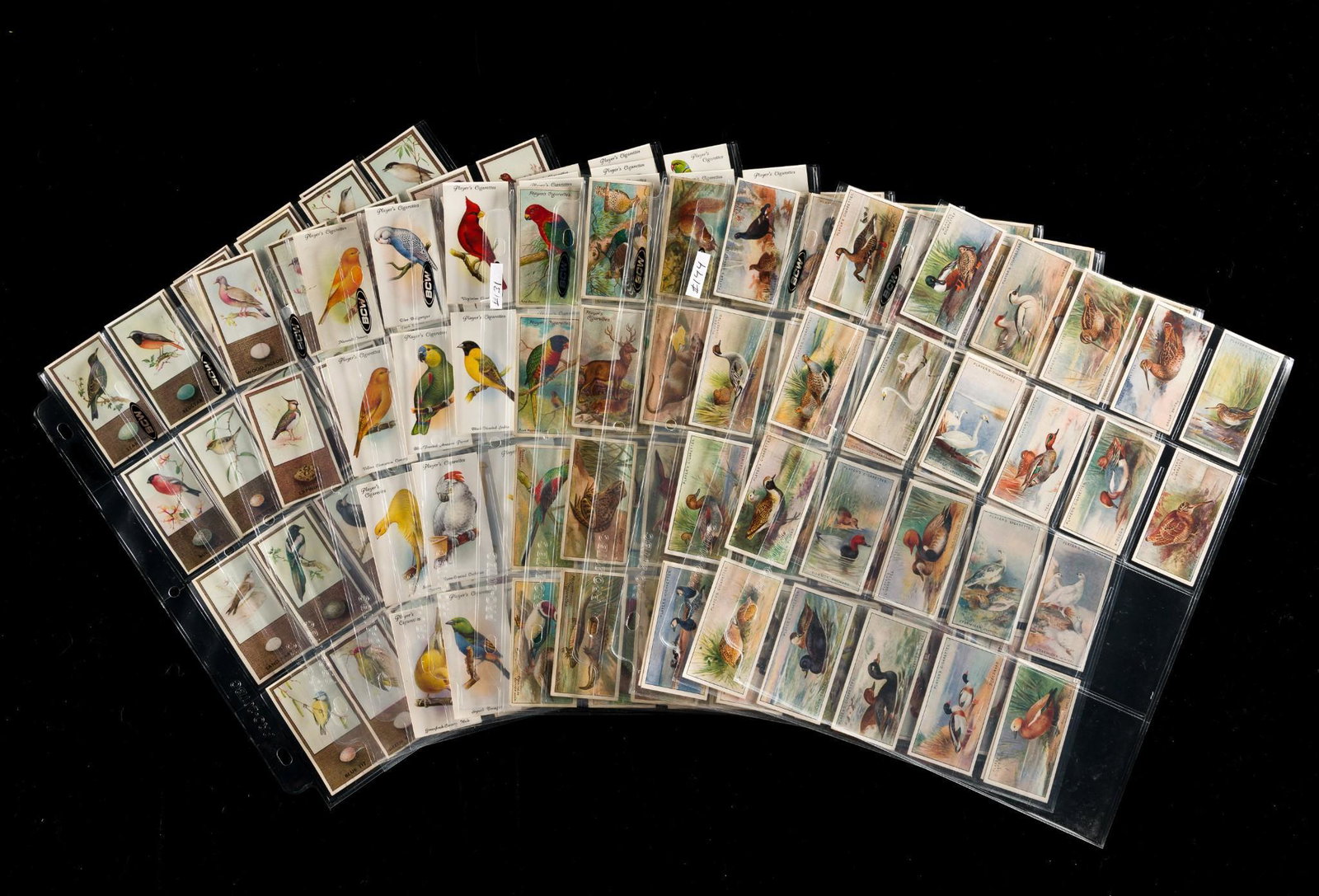 4 Sets Bird Cigarette Cards (1 of 9)