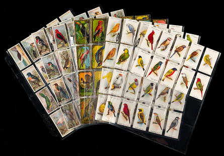 3 Sets Bird Cigarette Cards: Includes Foreign Birds, series of 50, issued by Ogden's; Aviary and Cage Birds, series of 50, issued by John Player & Sons; Game Birds, series of 30, issued by Imperial Tobacco Company of Canada Ltd.