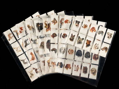 3 Sets Cigarette Cards Paintings by Arthur Wardle: Includes Dogs, full length, series of 50, issued by John Player & Sons; Wild Animals, series of 25, issued in 1927 by John Player & Sons; Dogs, heads only, series of 50, issued in 1929 by John Player