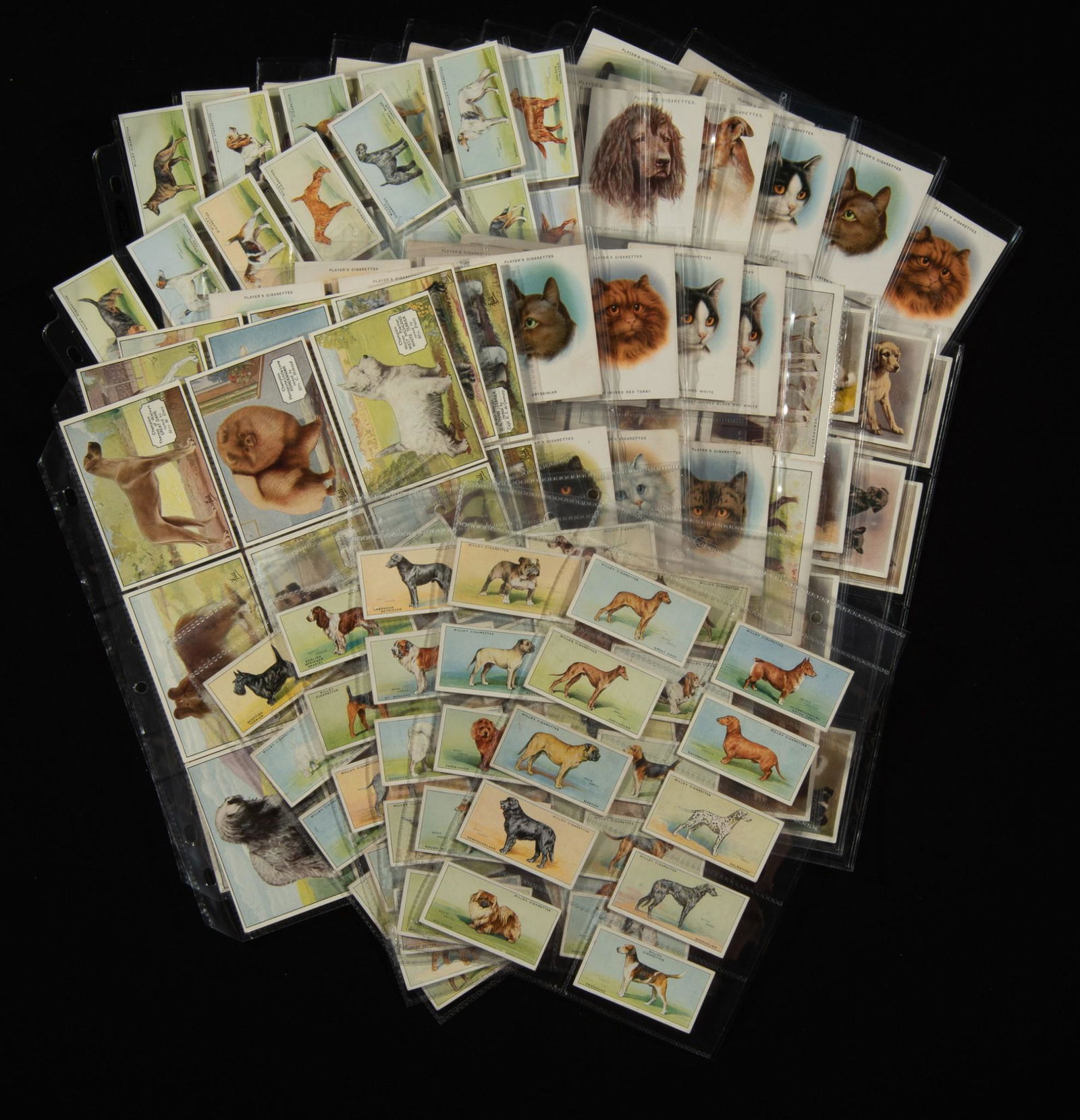 9 Sets Cat & Dog Cigarette Cards (1 of 20)