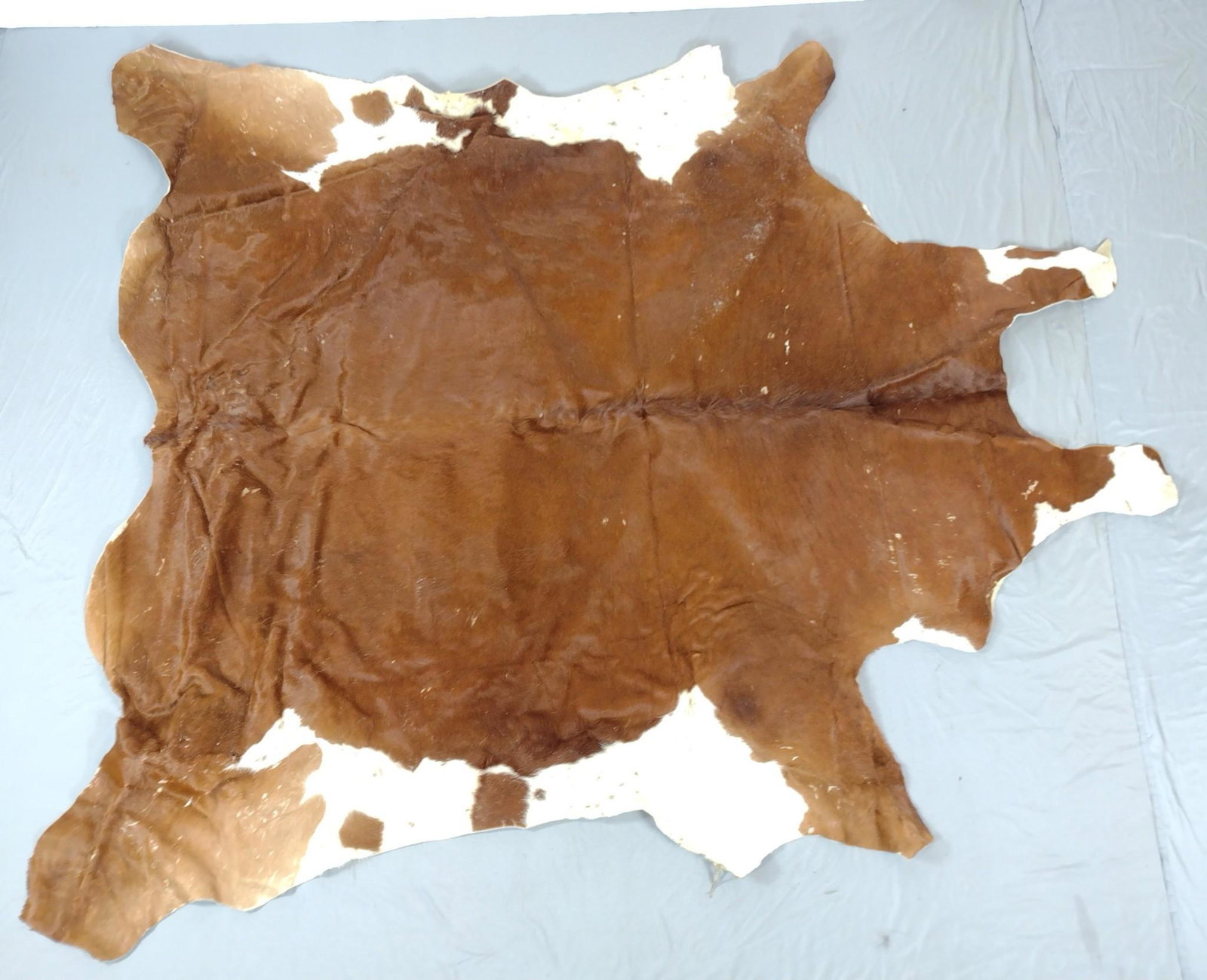 Cow Hide: 84" wide X 90" long. MG. IMPORTANT: Before bidding, please read the terms and conditions. When you registered for the auction you agreed to these terms and will be required to comply with them.