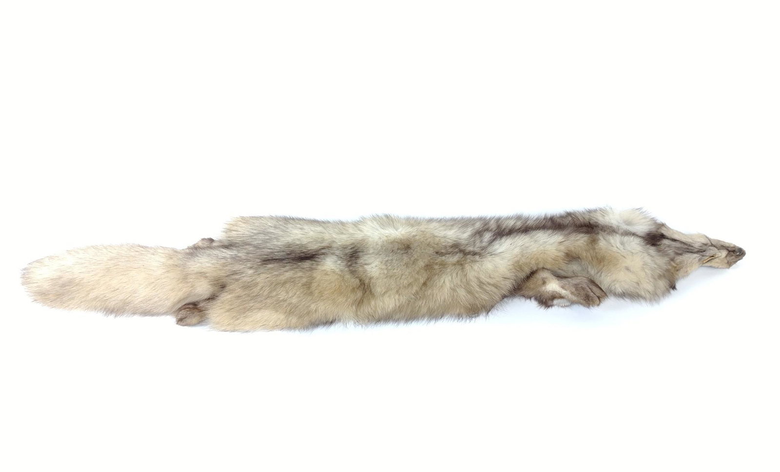 Silver Fox Fur/Hide: 9-1/2" wide X 44" long. MG. IMPORTANT: Before bidding, please read the terms and conditions. When you registered for the auction you agreed to these terms and will be required to comply with them.
