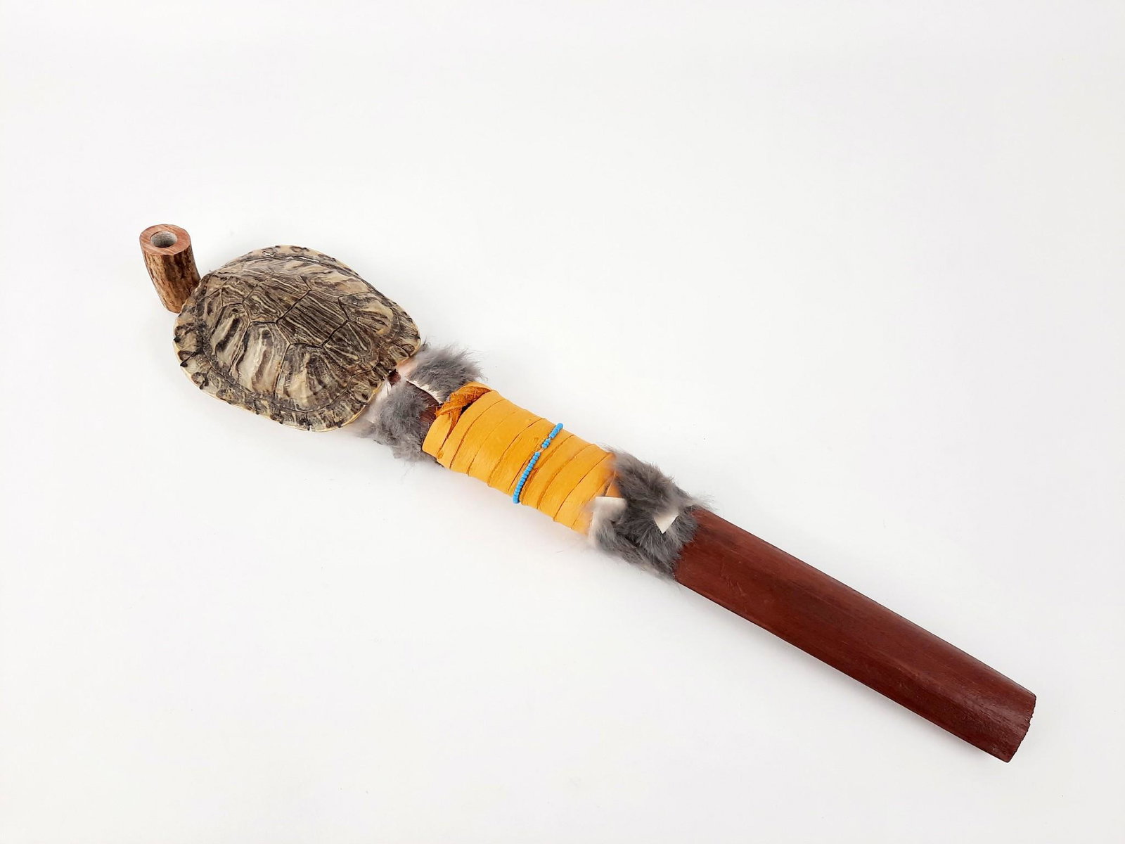 Turtle Pipe: Species: Red eared slider. 4" wide x 16-1/2" long. LR IMPORTANT: Before bidding, please read the terms and conditions. When you registered for the auction you agreed to these terms and will be require