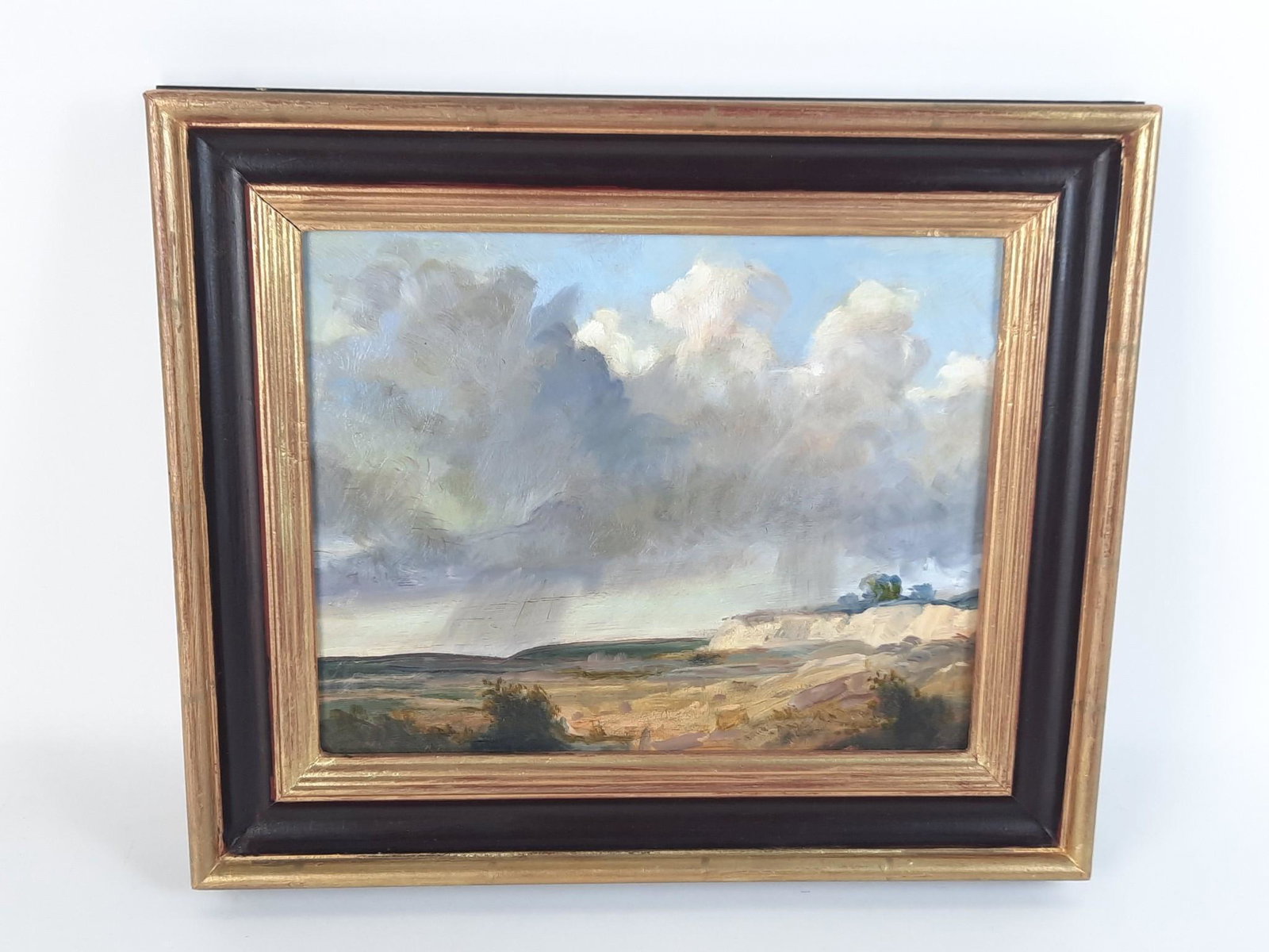 Andre de Moller Landscape Painting (1 of 4)