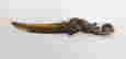 item-131901472=6