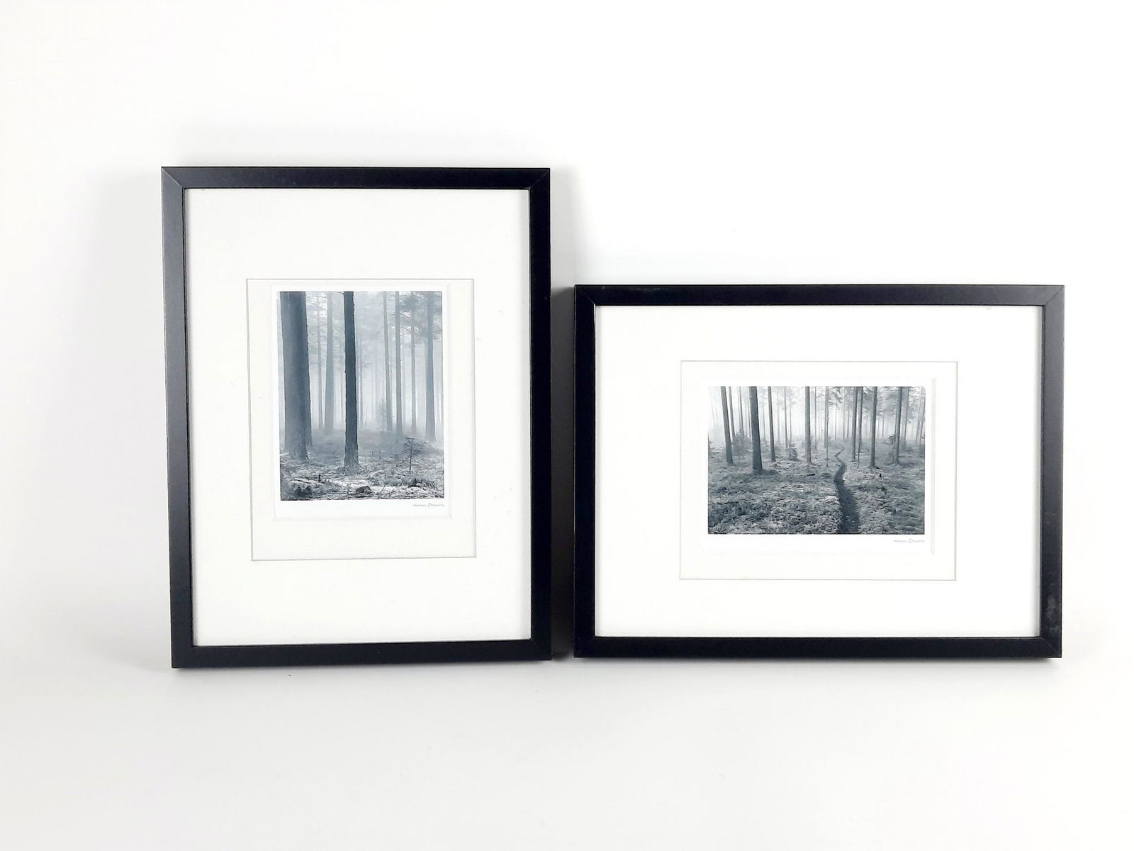 2 Andreas Stridsberg Black and White Tree Prints (1 of 2)
