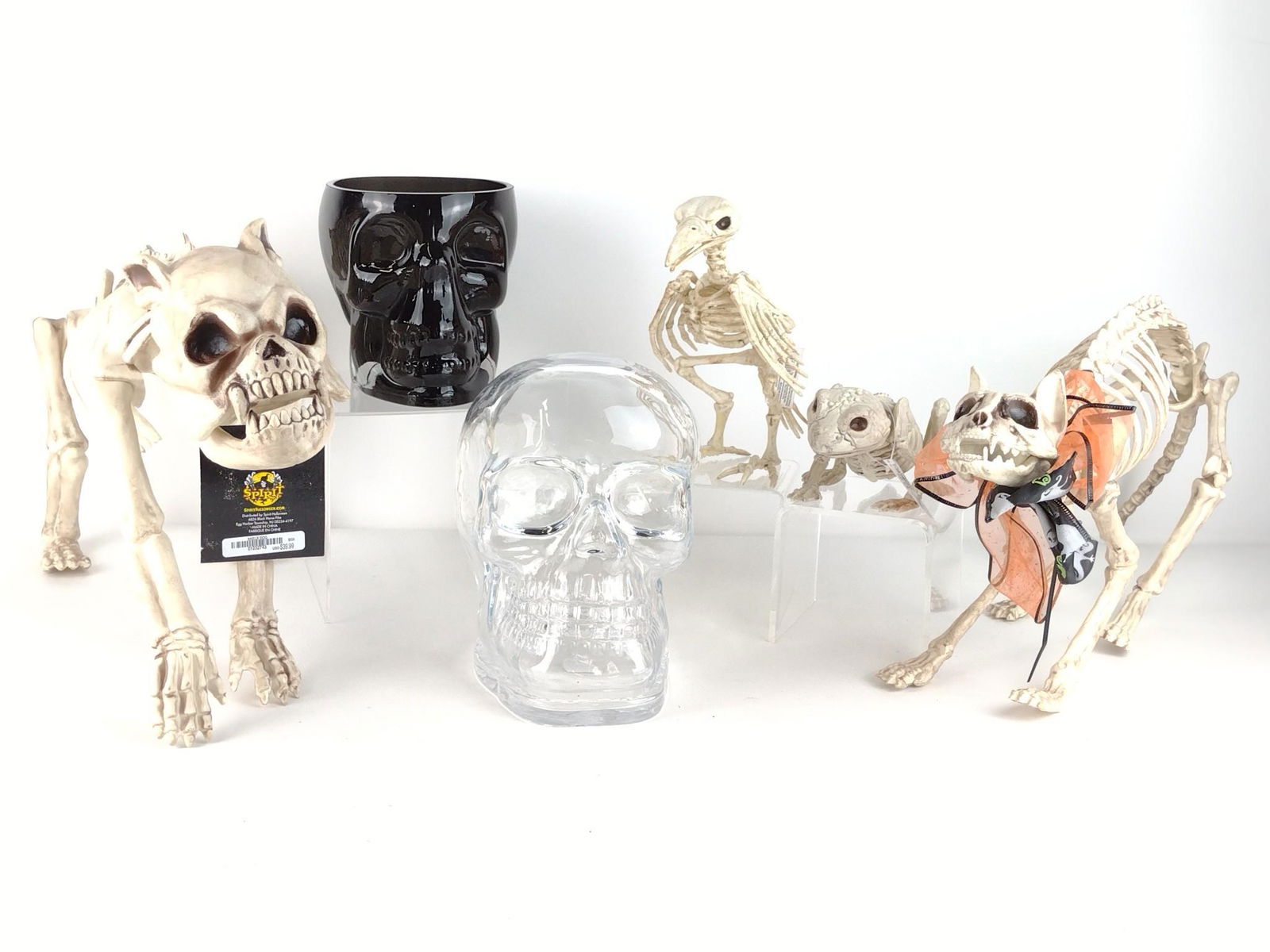 2 Glass Skulls & 4 Novelty Animal Skeletons (1 of 4)