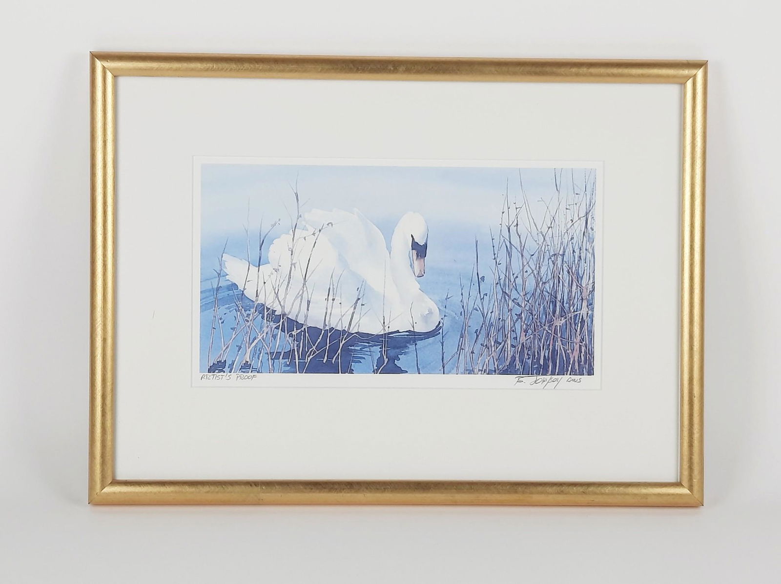 Bruce Johnson Swan Artist Proof Print (1 of 3)