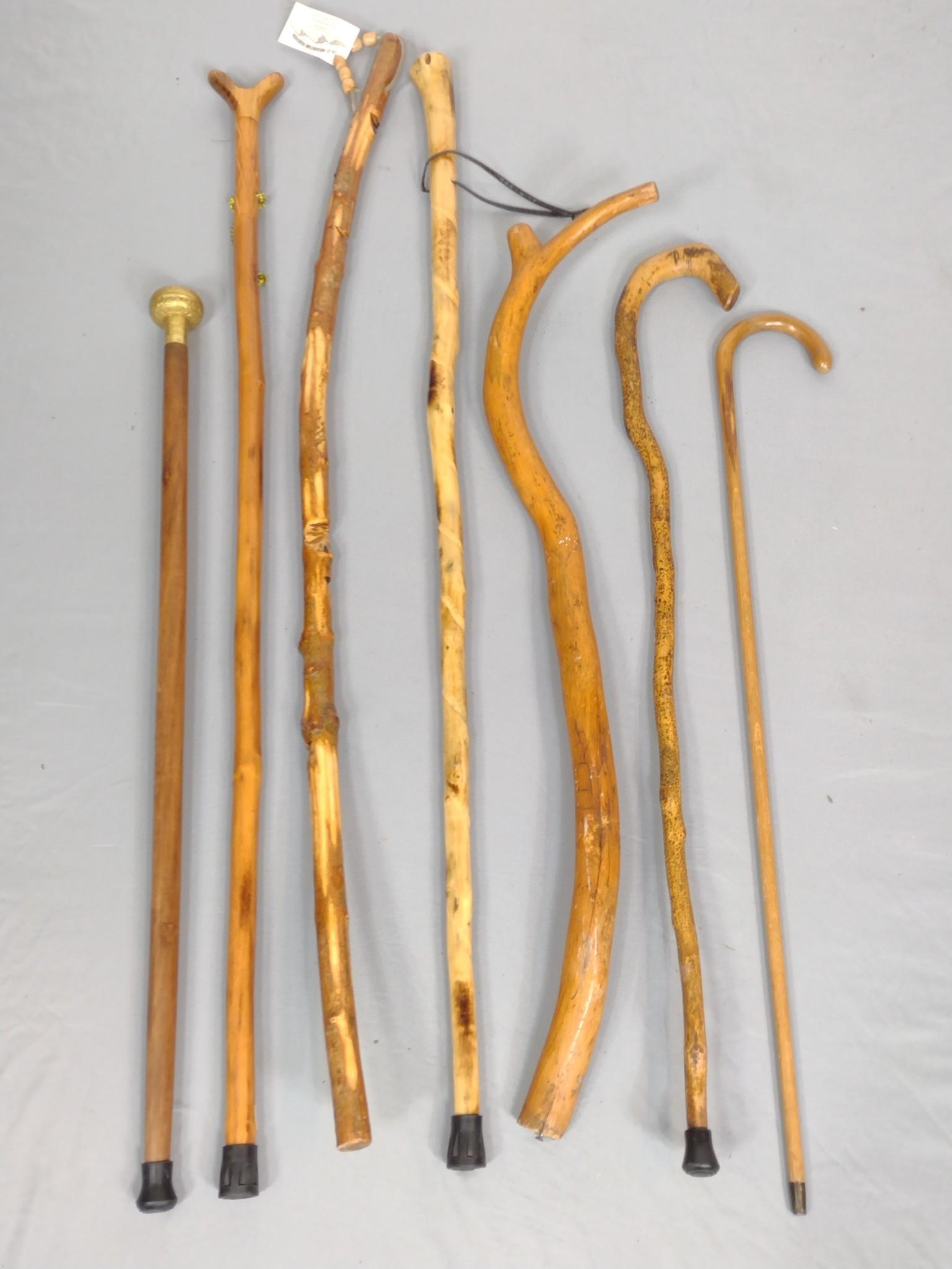 7 Walking Sticks (1 of 3)
