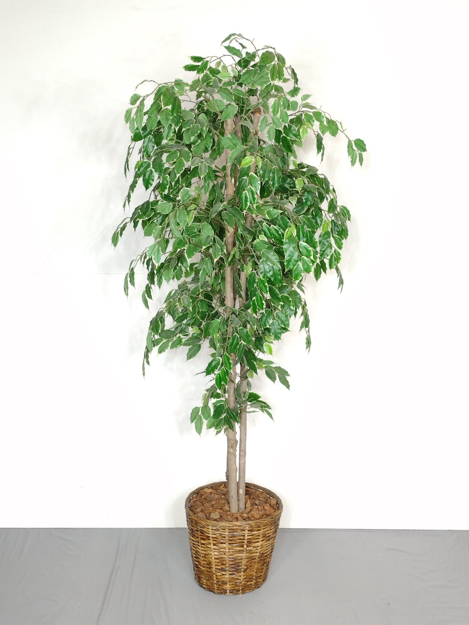 Artificial Tree (1 of 4)