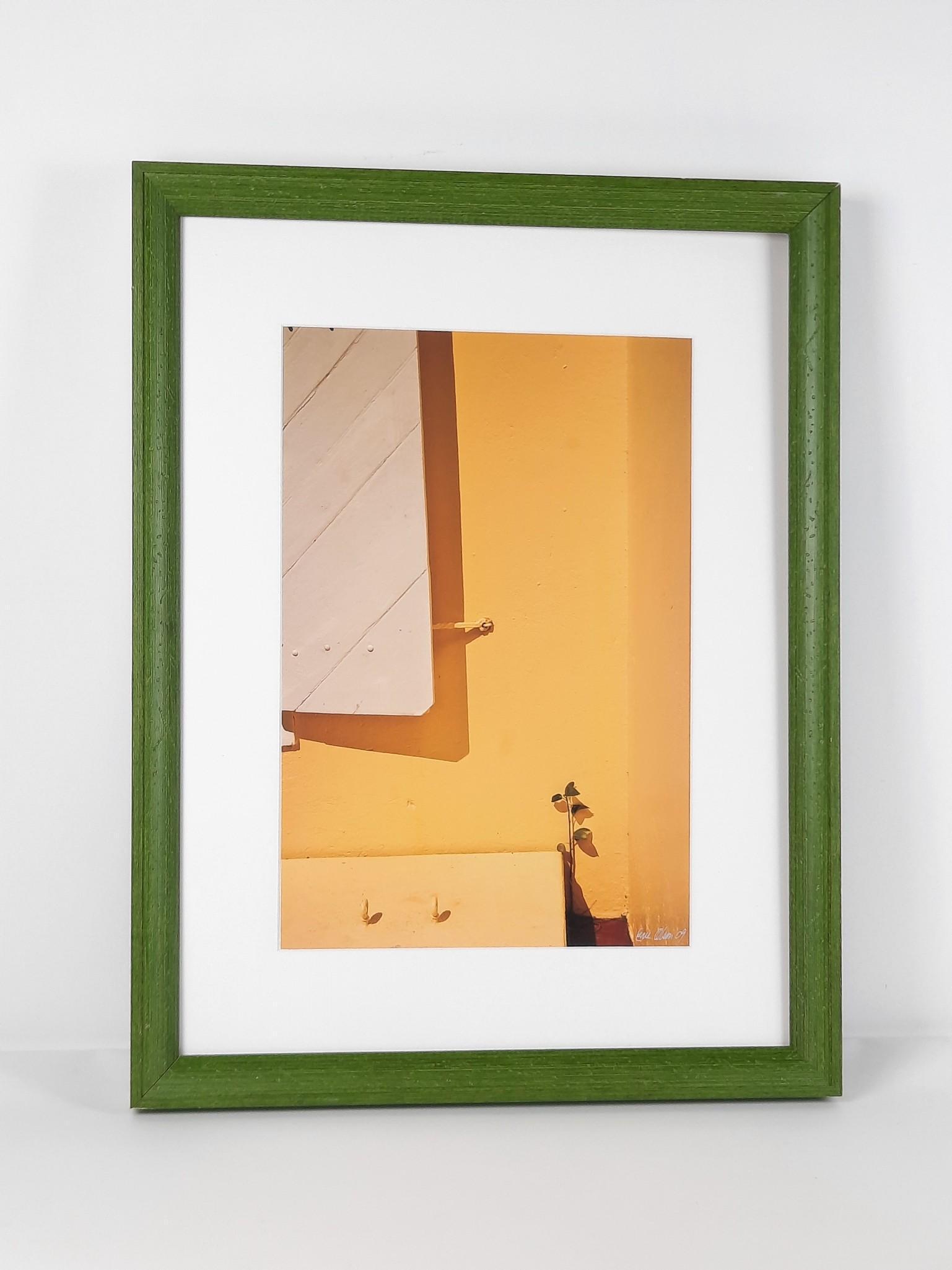 Eric Olson Sprouting Vine Photograph (1 of 2)